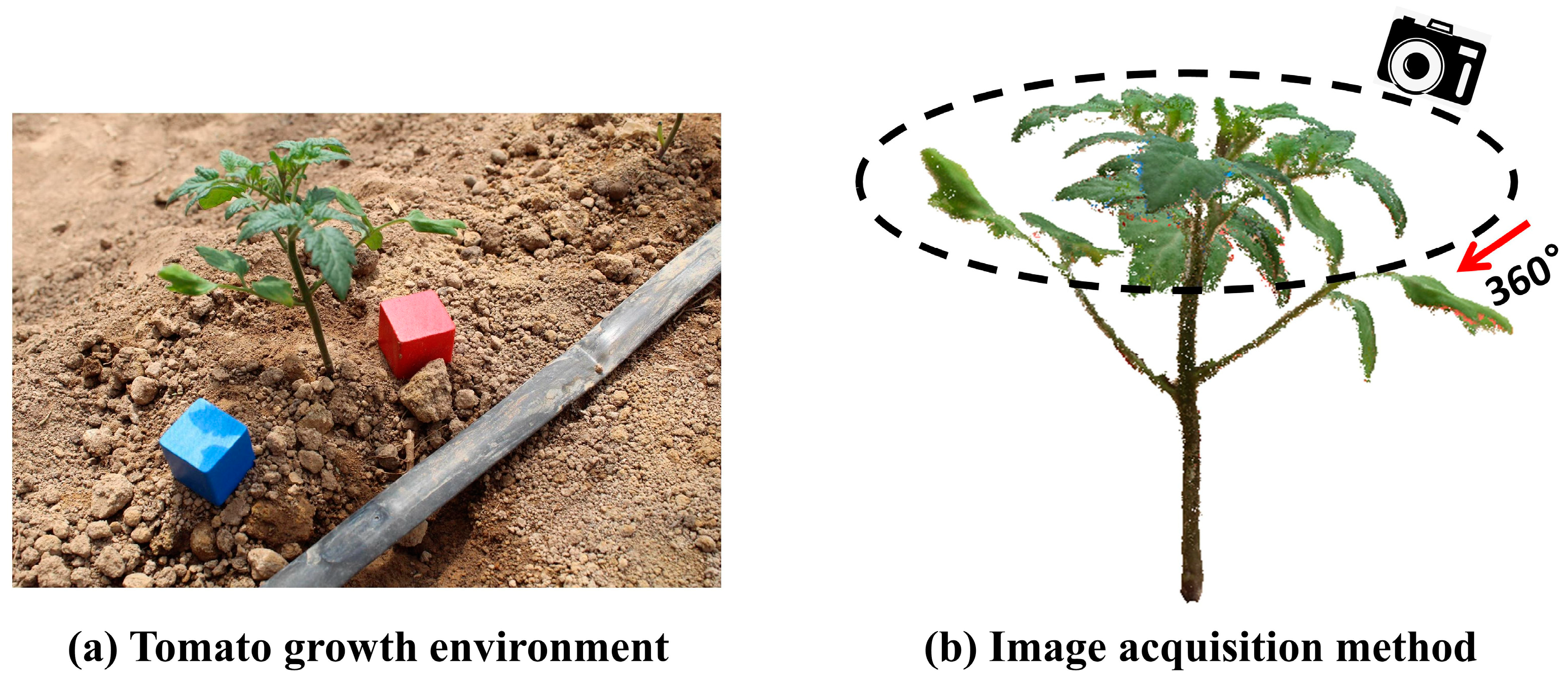 Agronomy 14 00198 g002