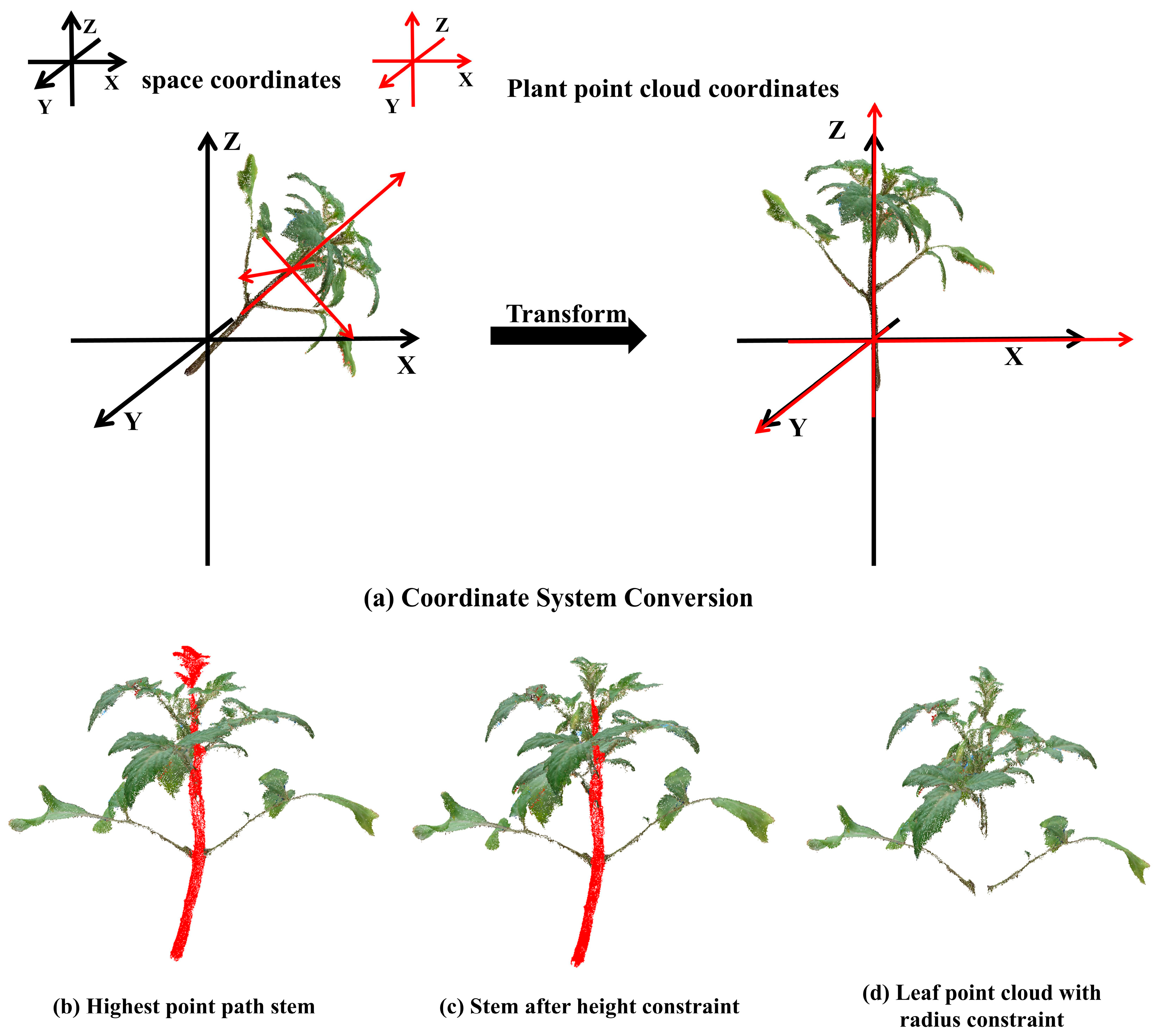 Agronomy 14 00198 g005