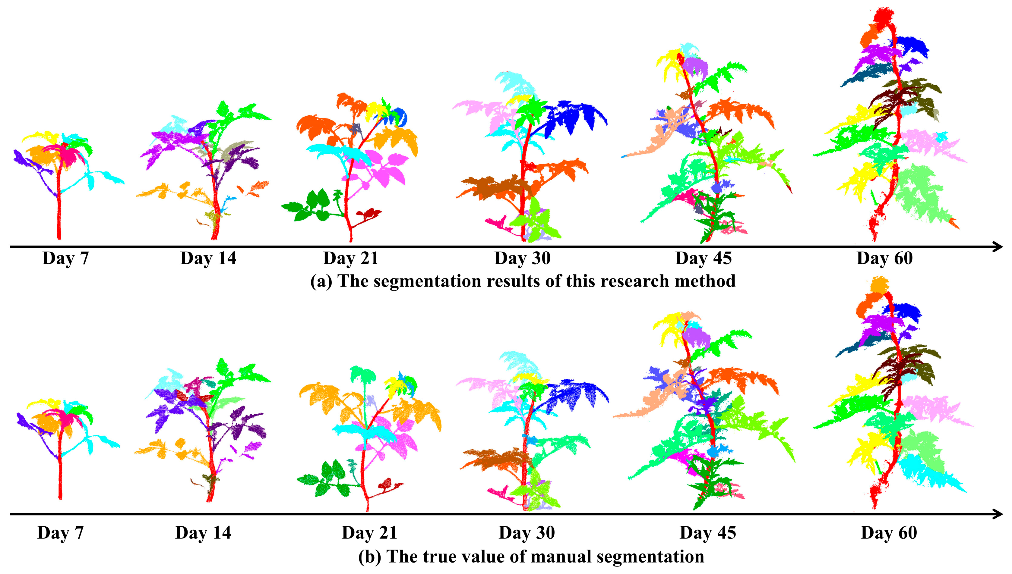 Agronomy 14 00198 g010