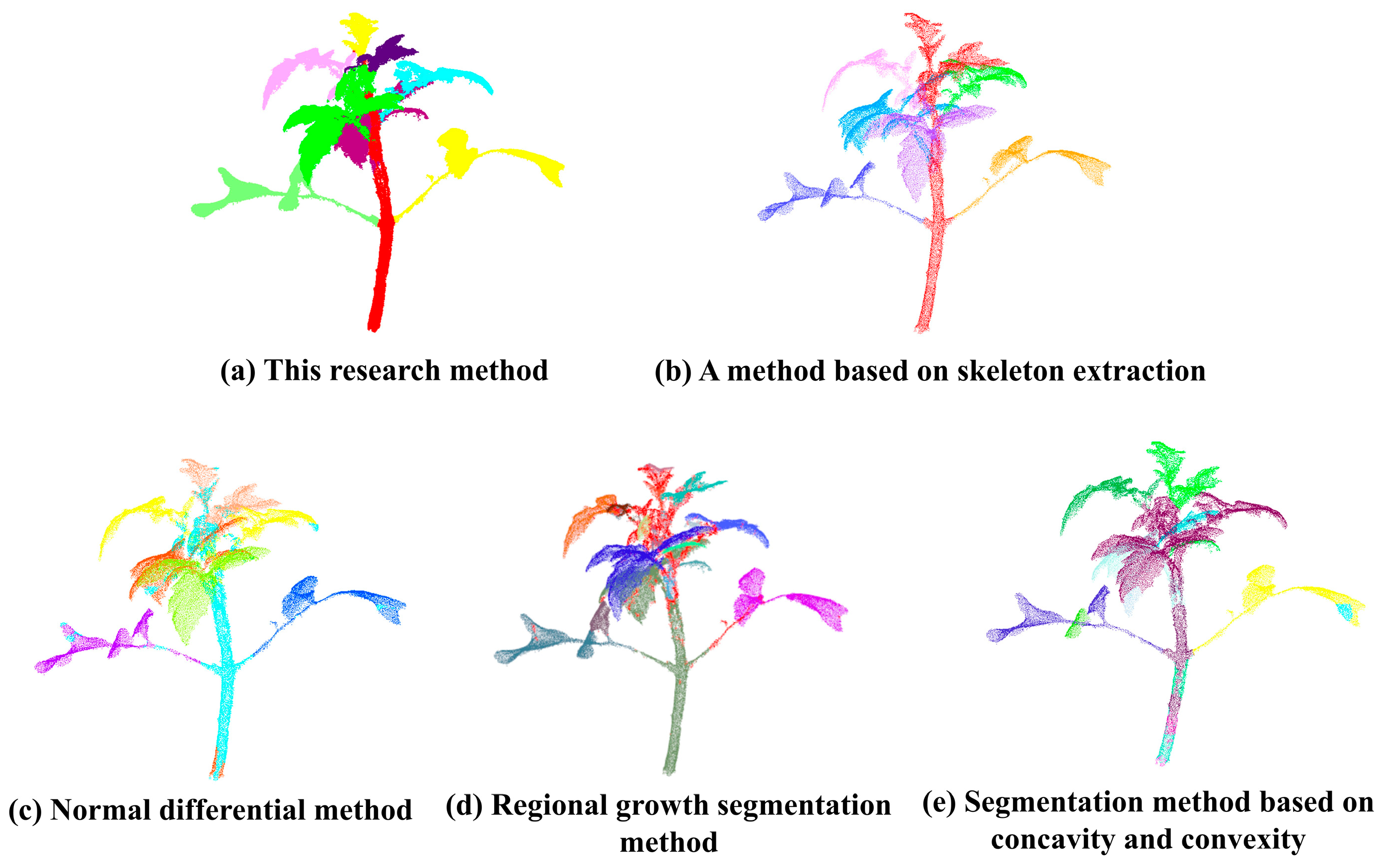 Agronomy 14 00198 g011
