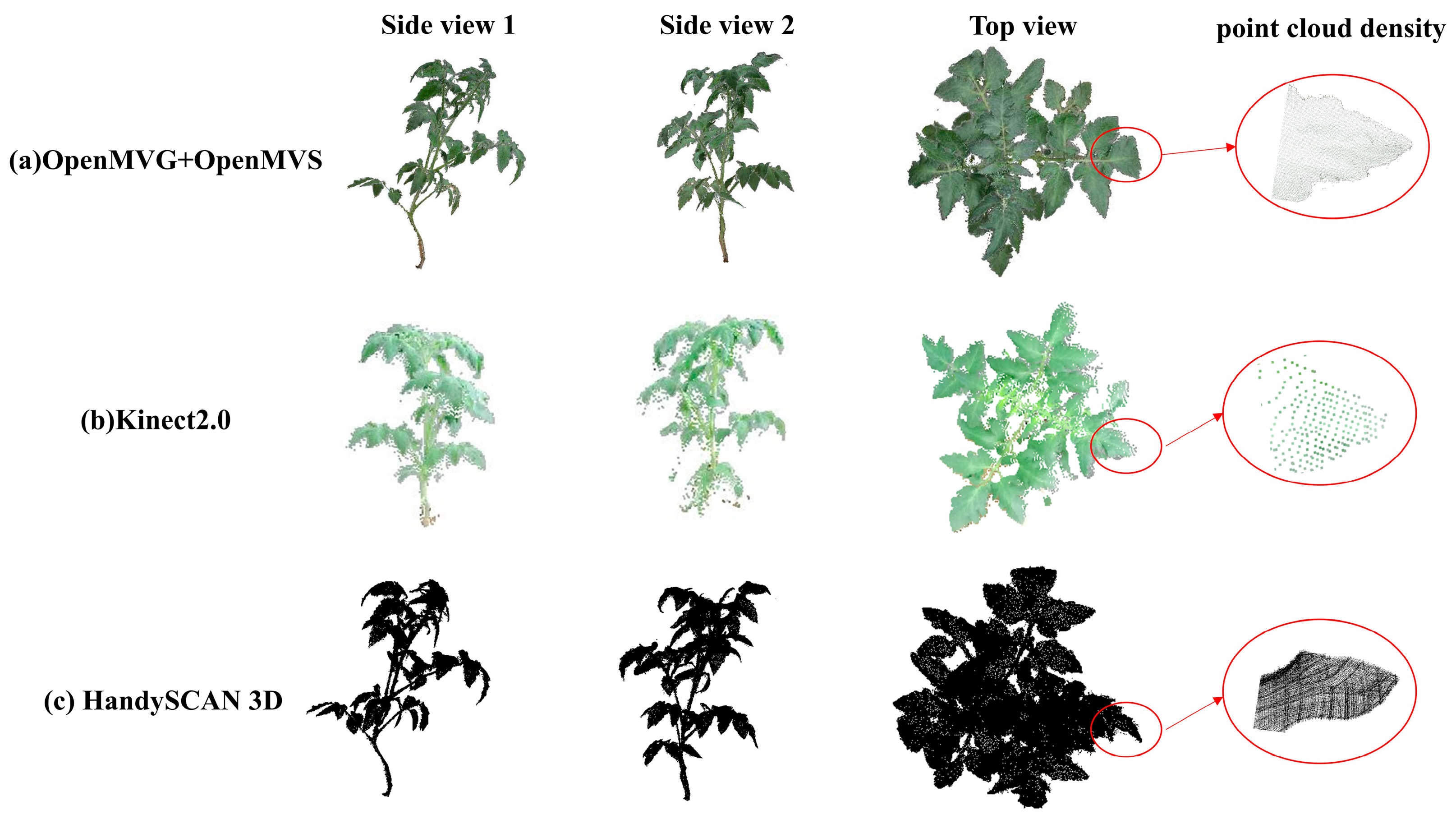 Agronomy 14 00198 g014