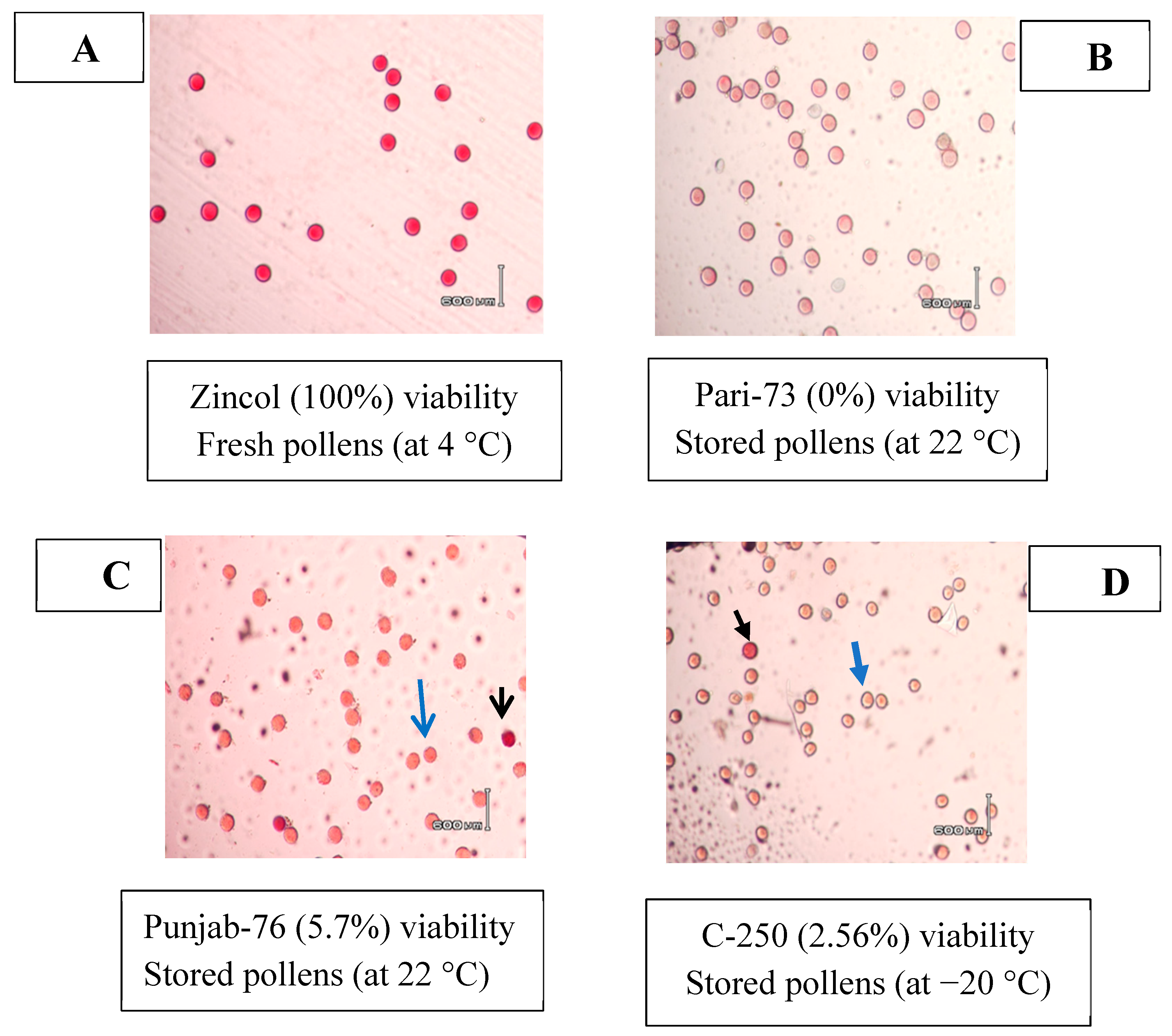 Agronomy 14 00201 g001 Agronomy 14 00201 g001