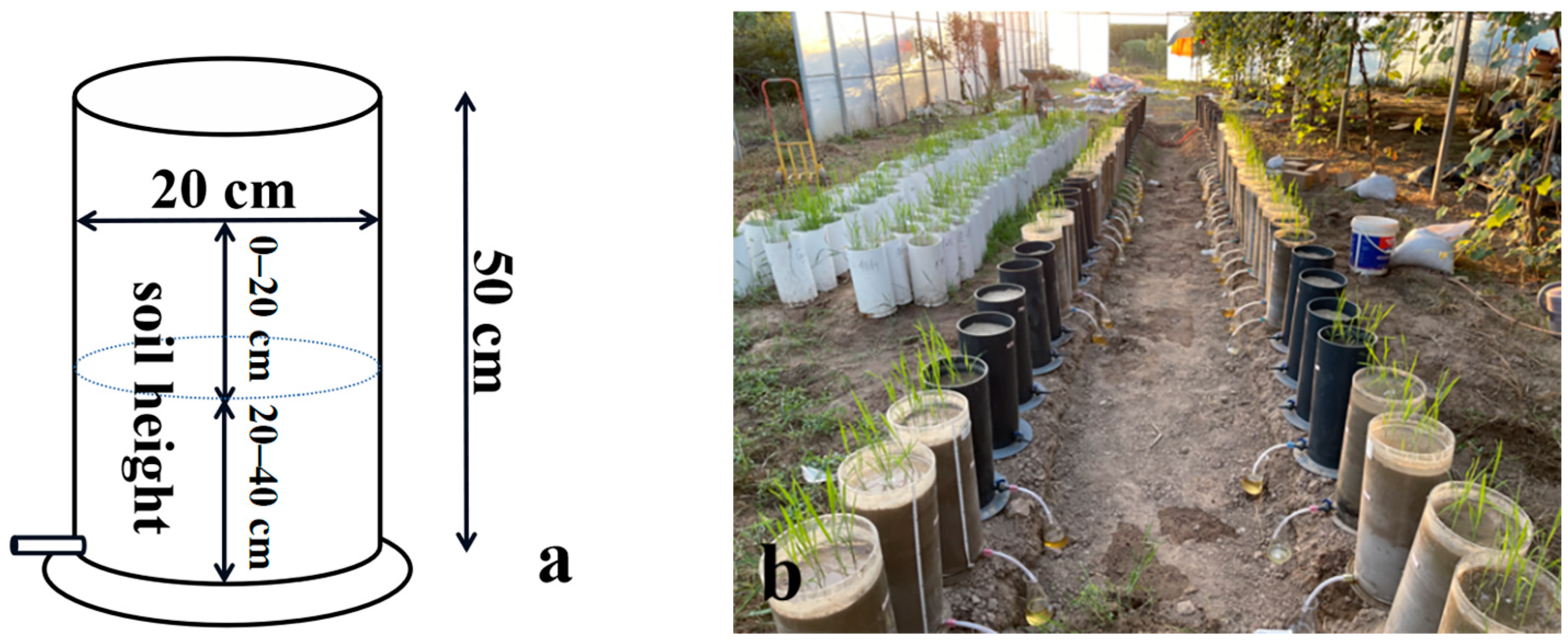 Agronomy 14 00255 g001