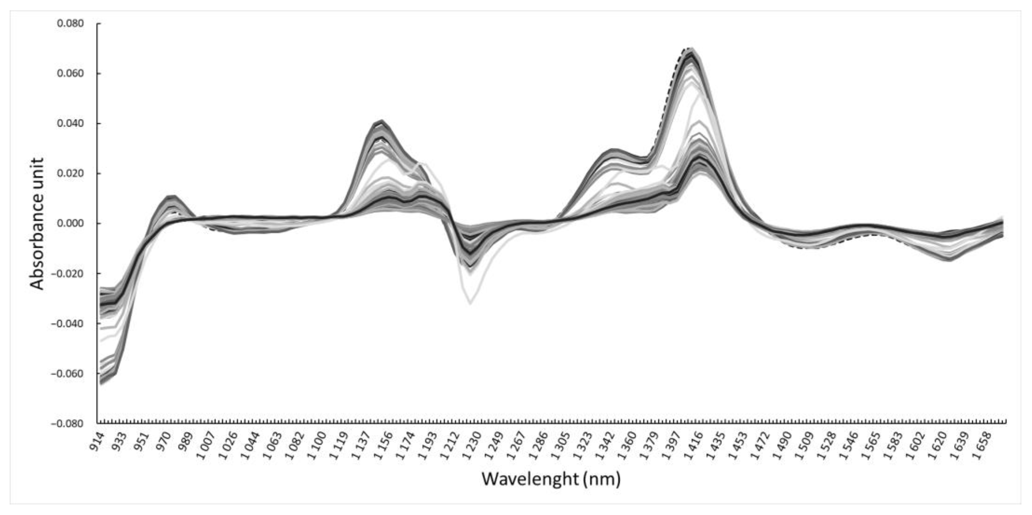 Agronomy Free Full Text Classification of Popcorn Zea mays