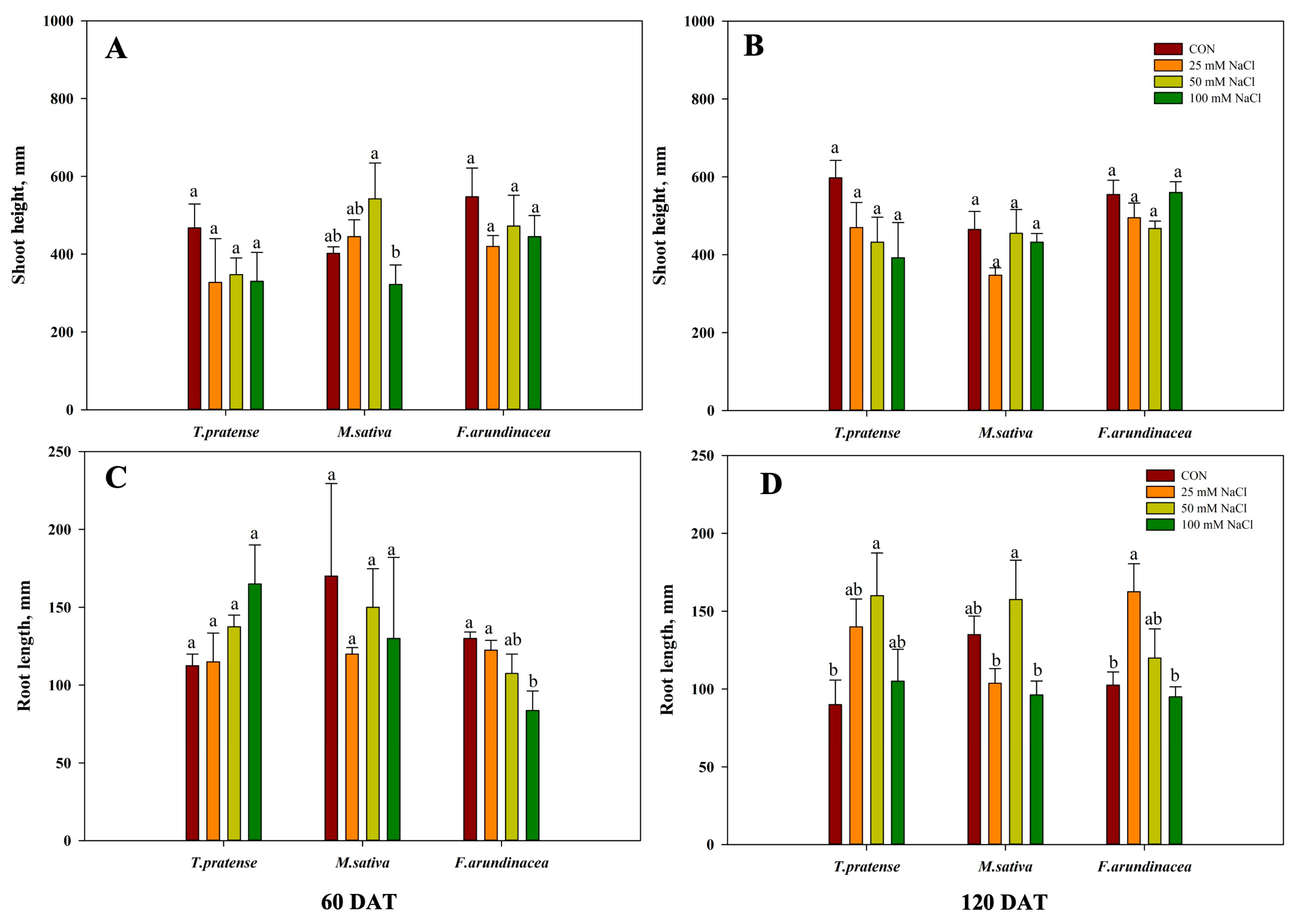 Agronomy 14 00287 g001