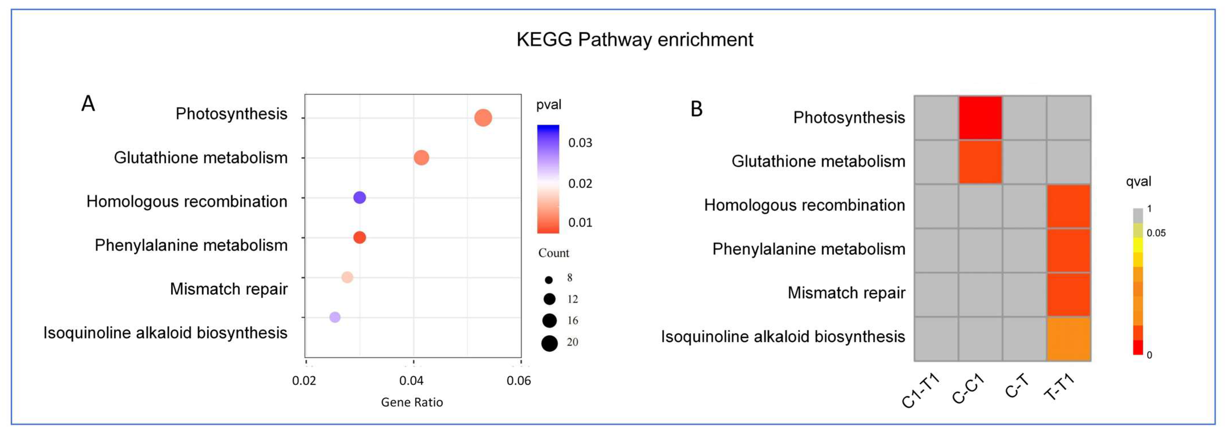 Agronomy 14 00291 g004