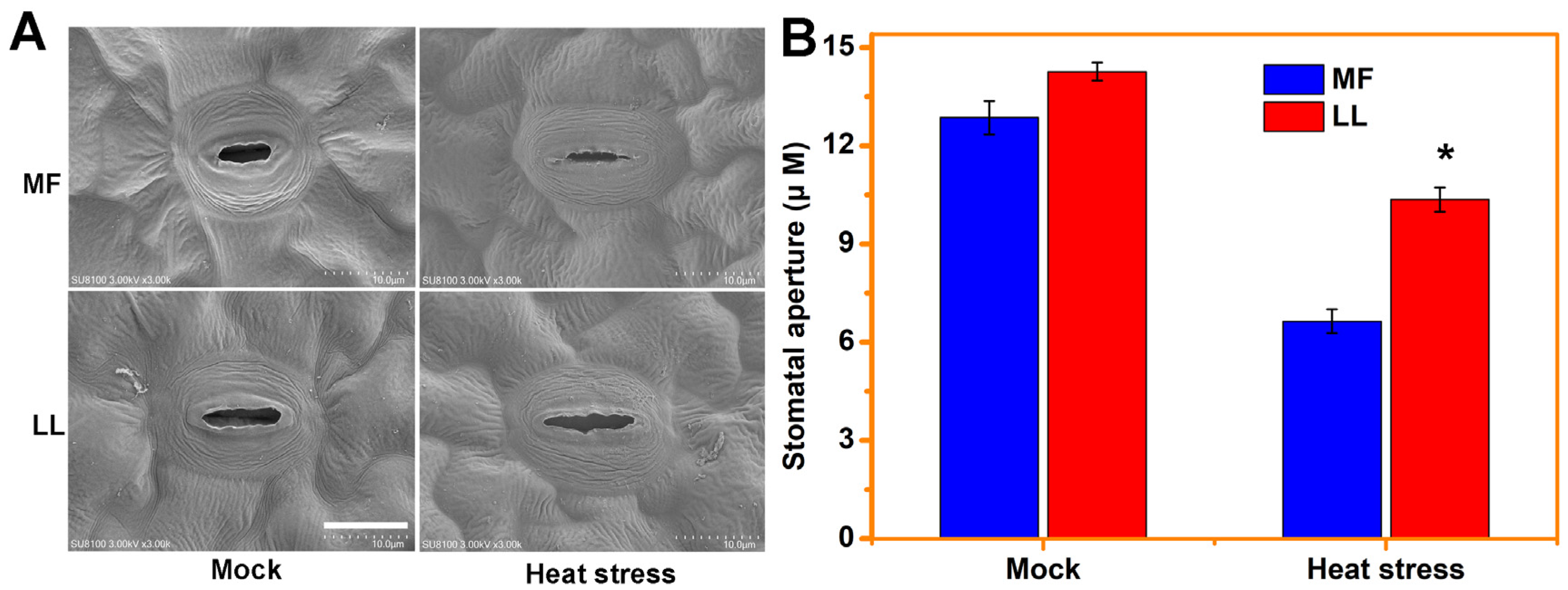 Agronomy 14 00299 g002
