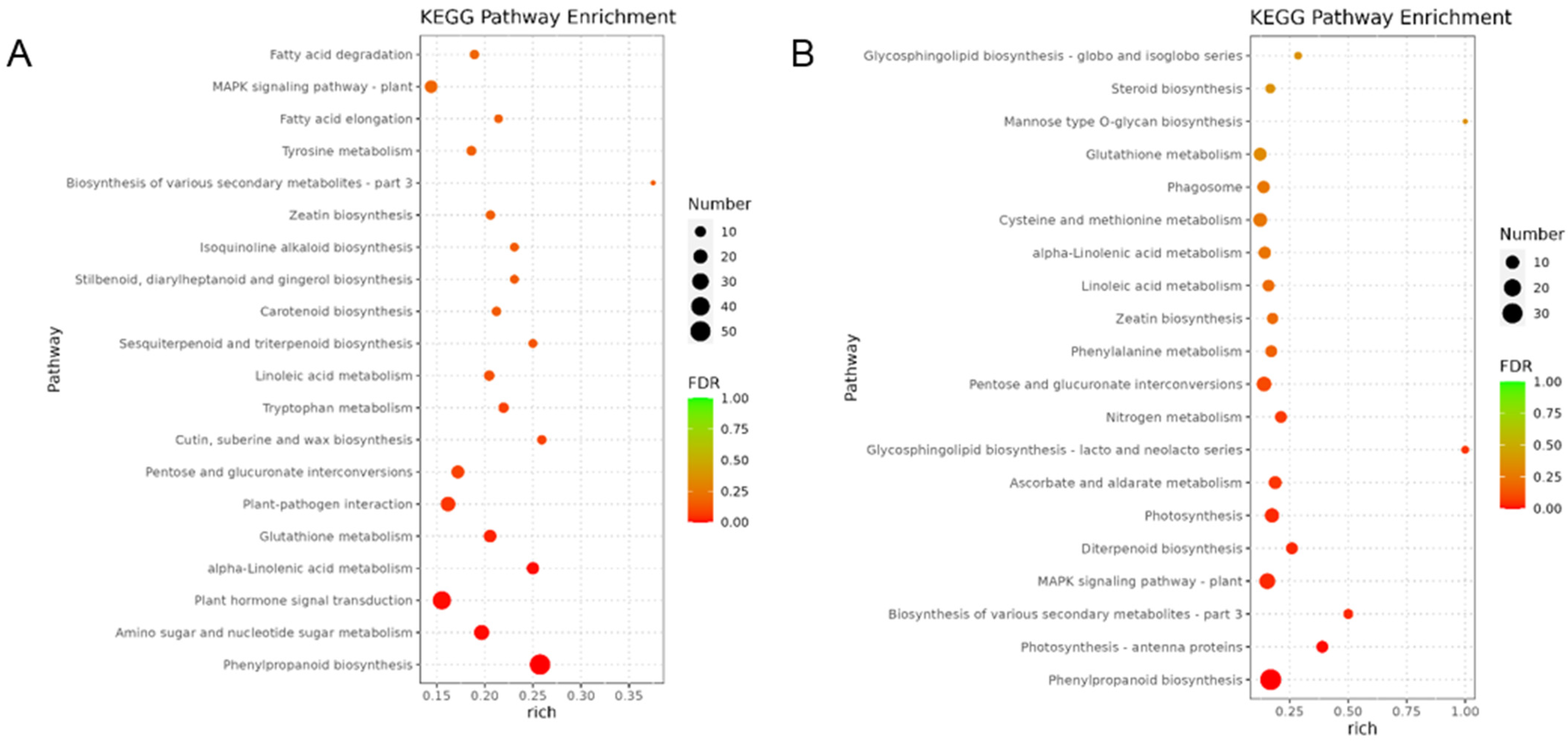 Agronomy 14 00299 g005