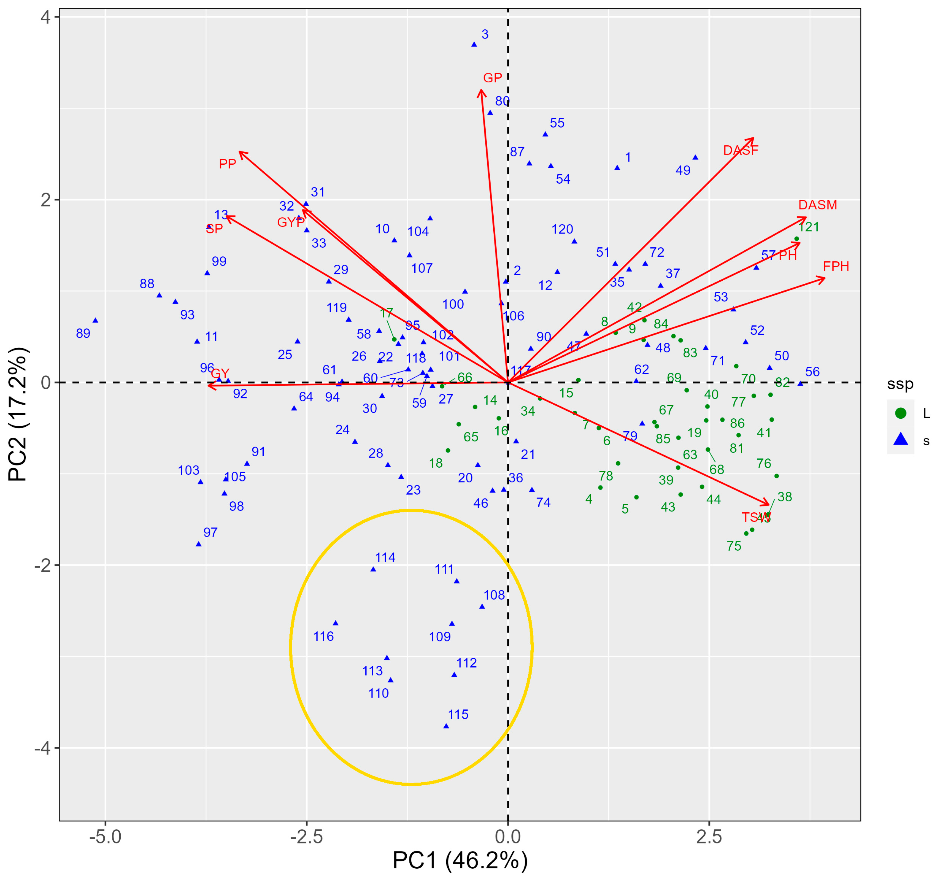 Agronomy 14 00303 g004