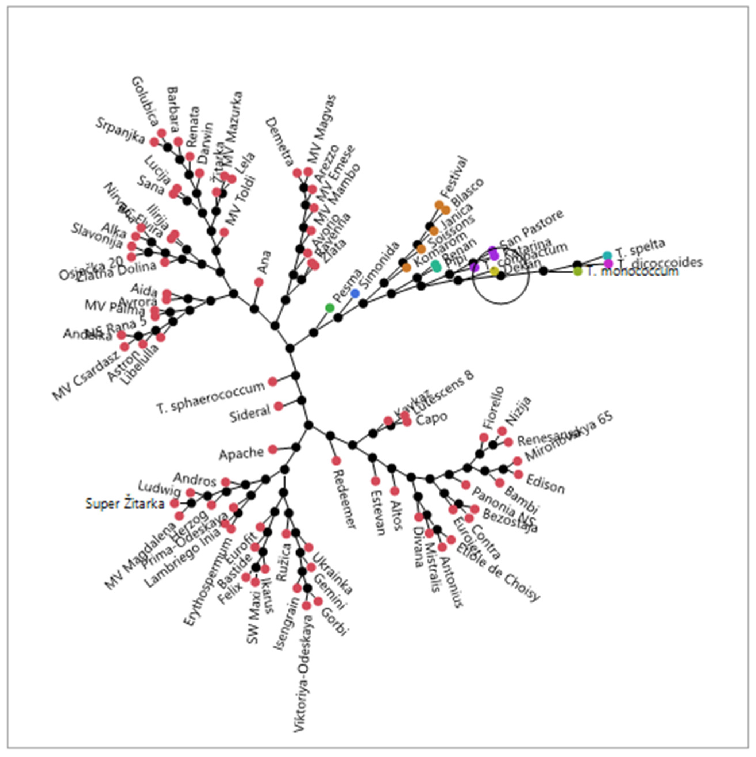 Agronomy 14 00311 g004