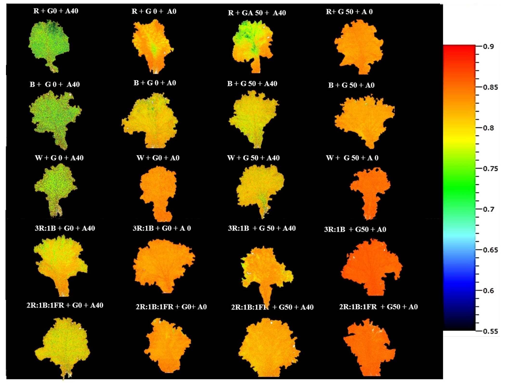 Agronomy 14 00313 g004