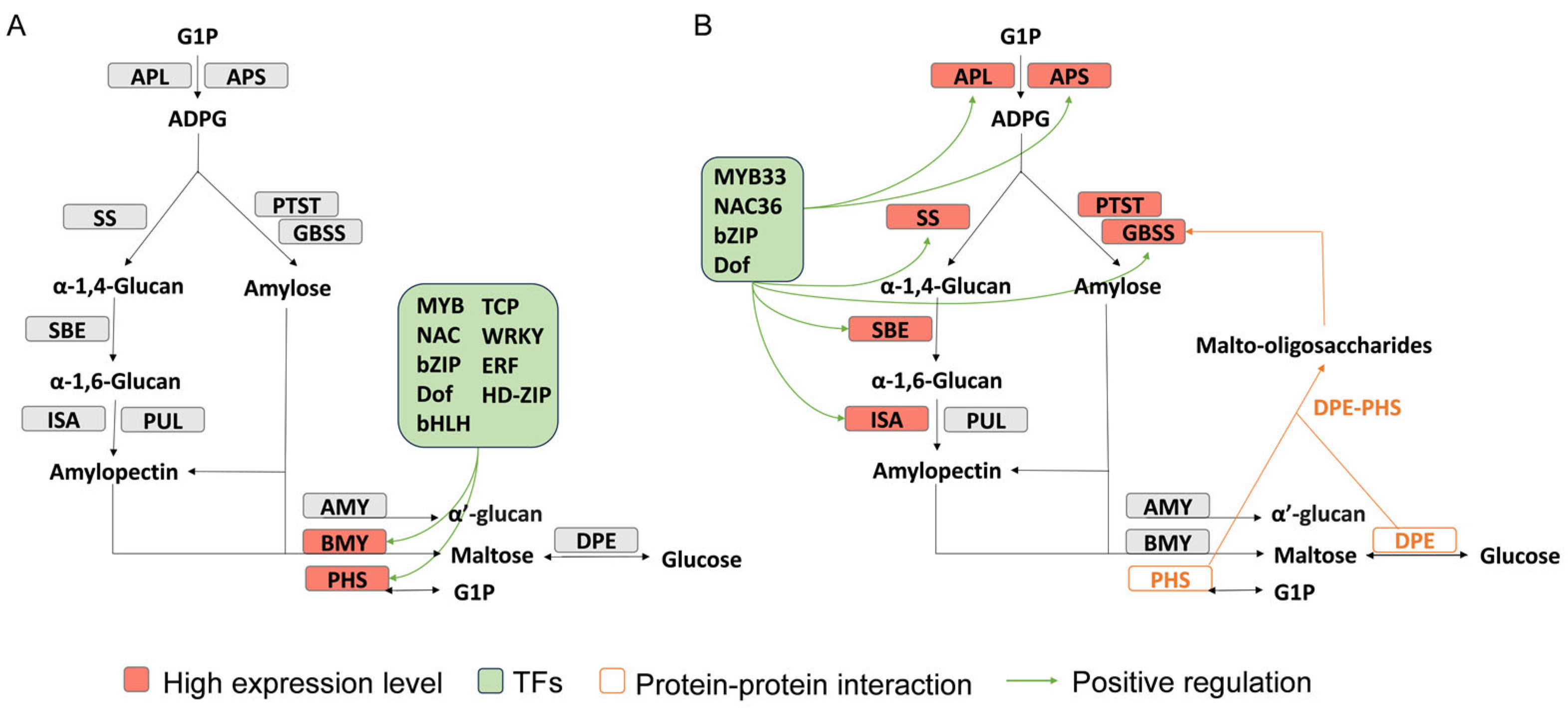 Agronomy 14 00328 g005