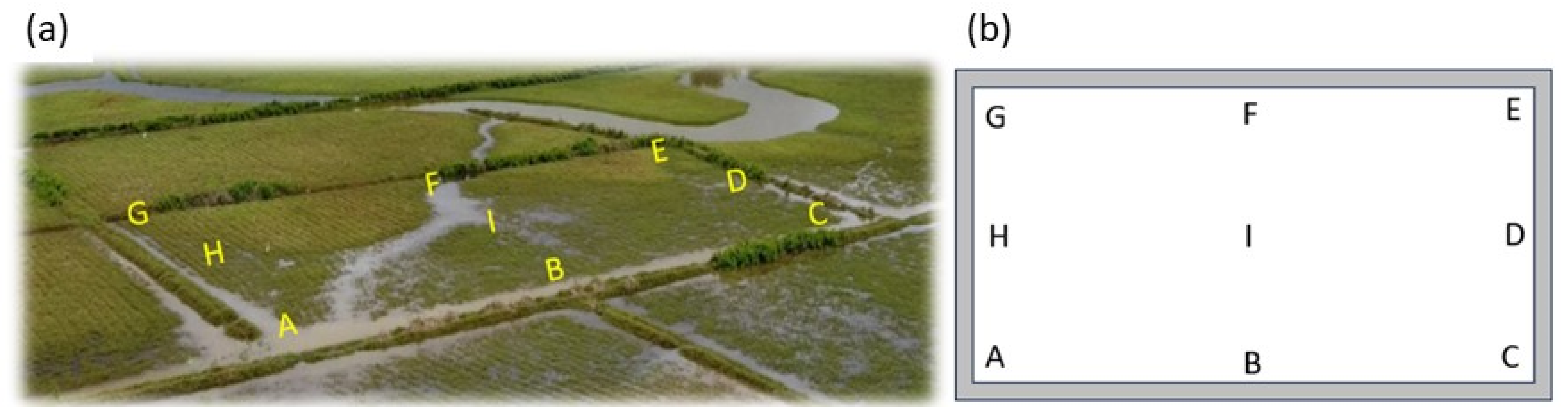 Agronomy 14 00335 g003