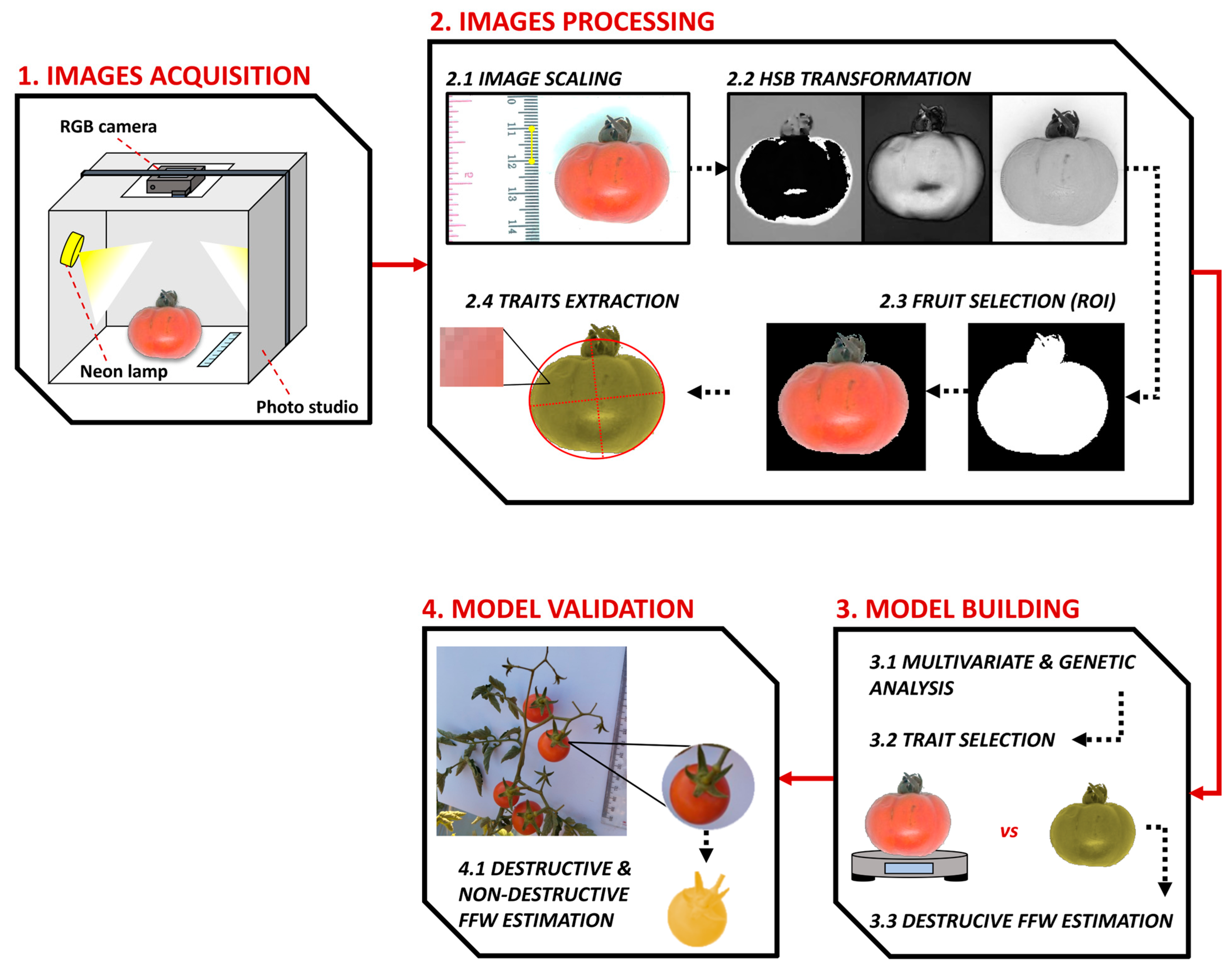 Agronomy 14 00338 g001