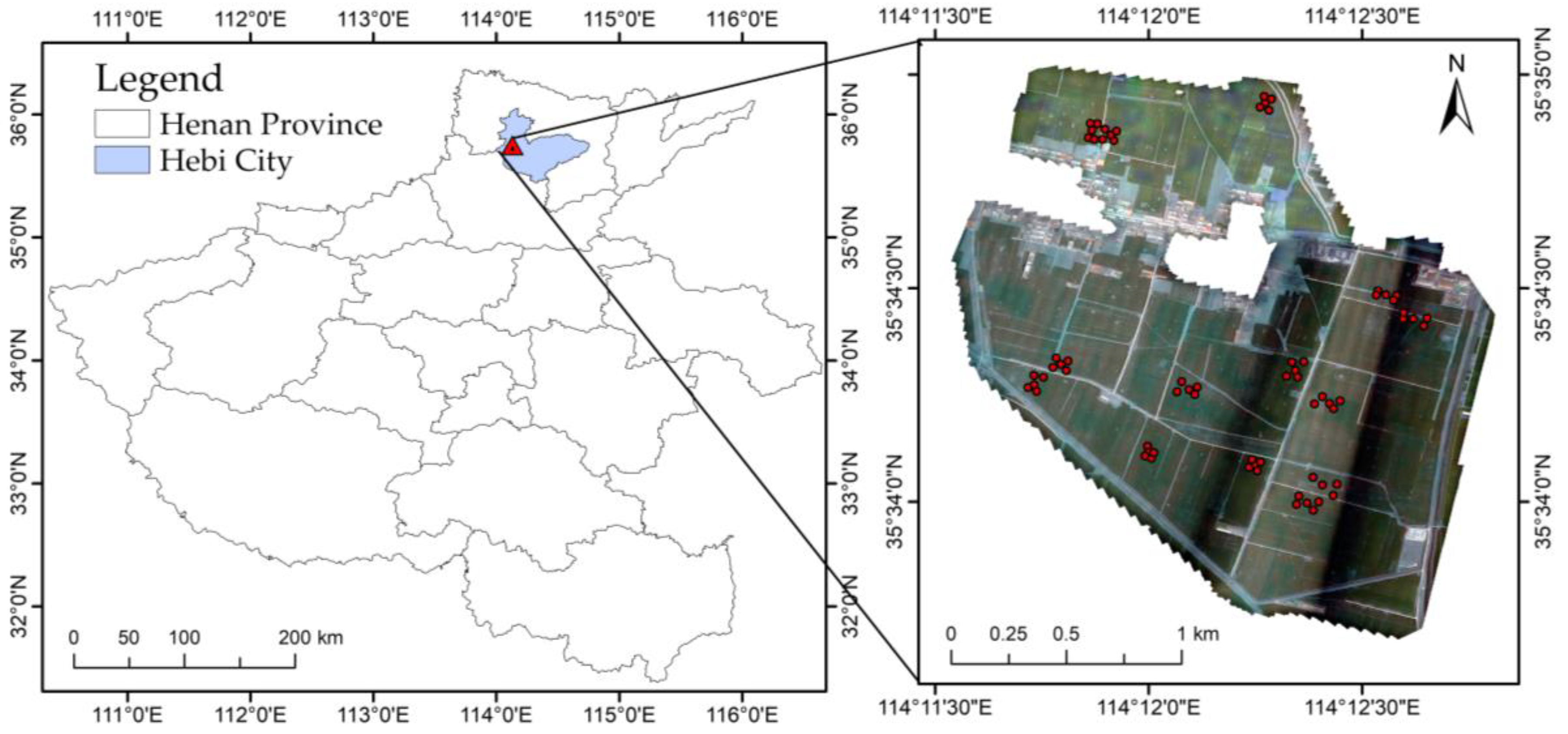 Agronomy | Free Full-Text | Synchronous Retrieval of Wheat Cab and 