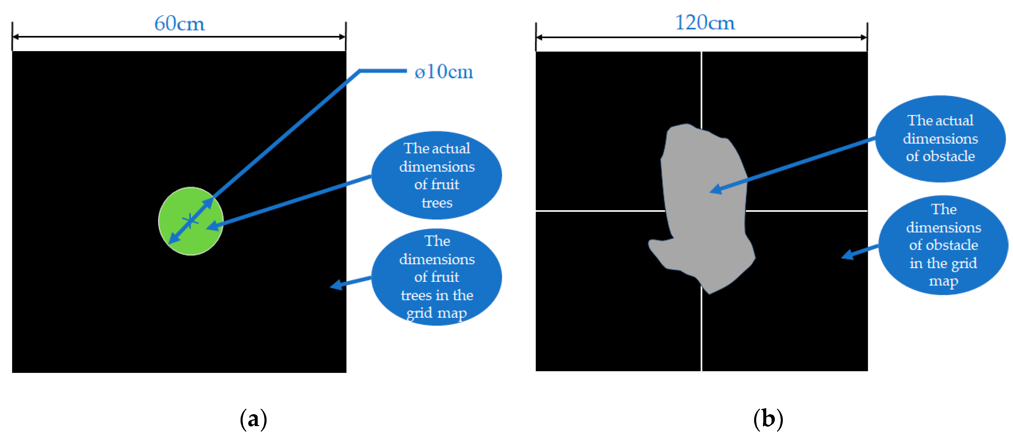 Agronomy 14 00391 g001