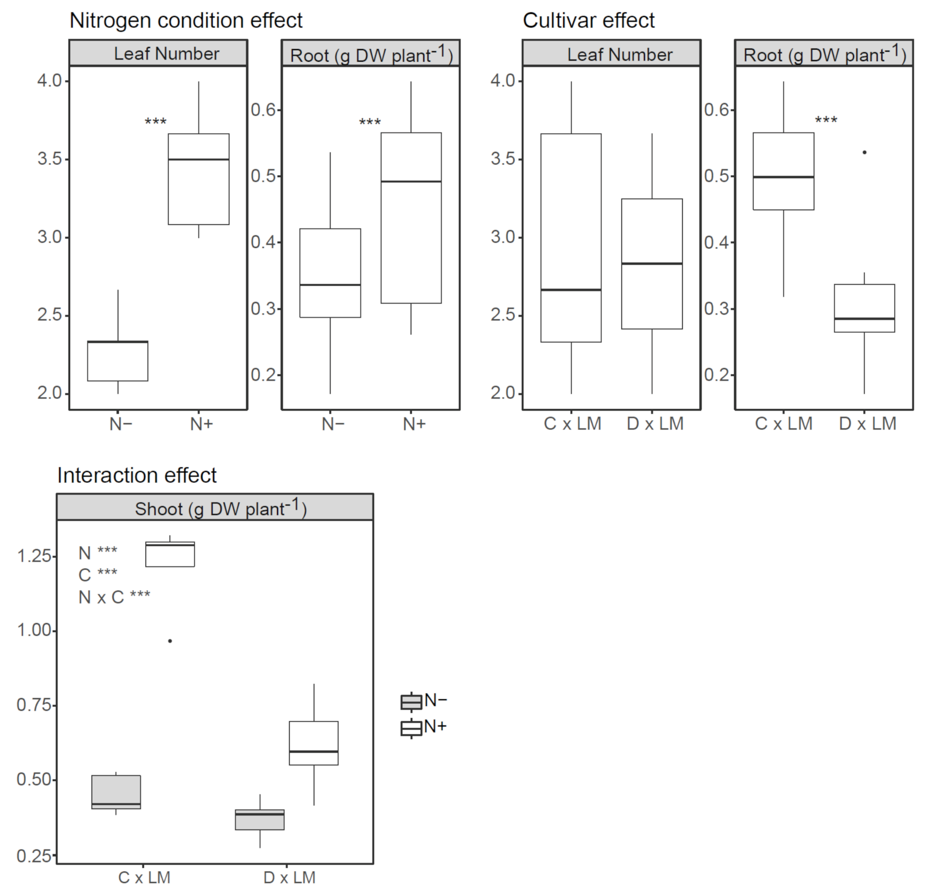 Agronomy 14 00409 g001