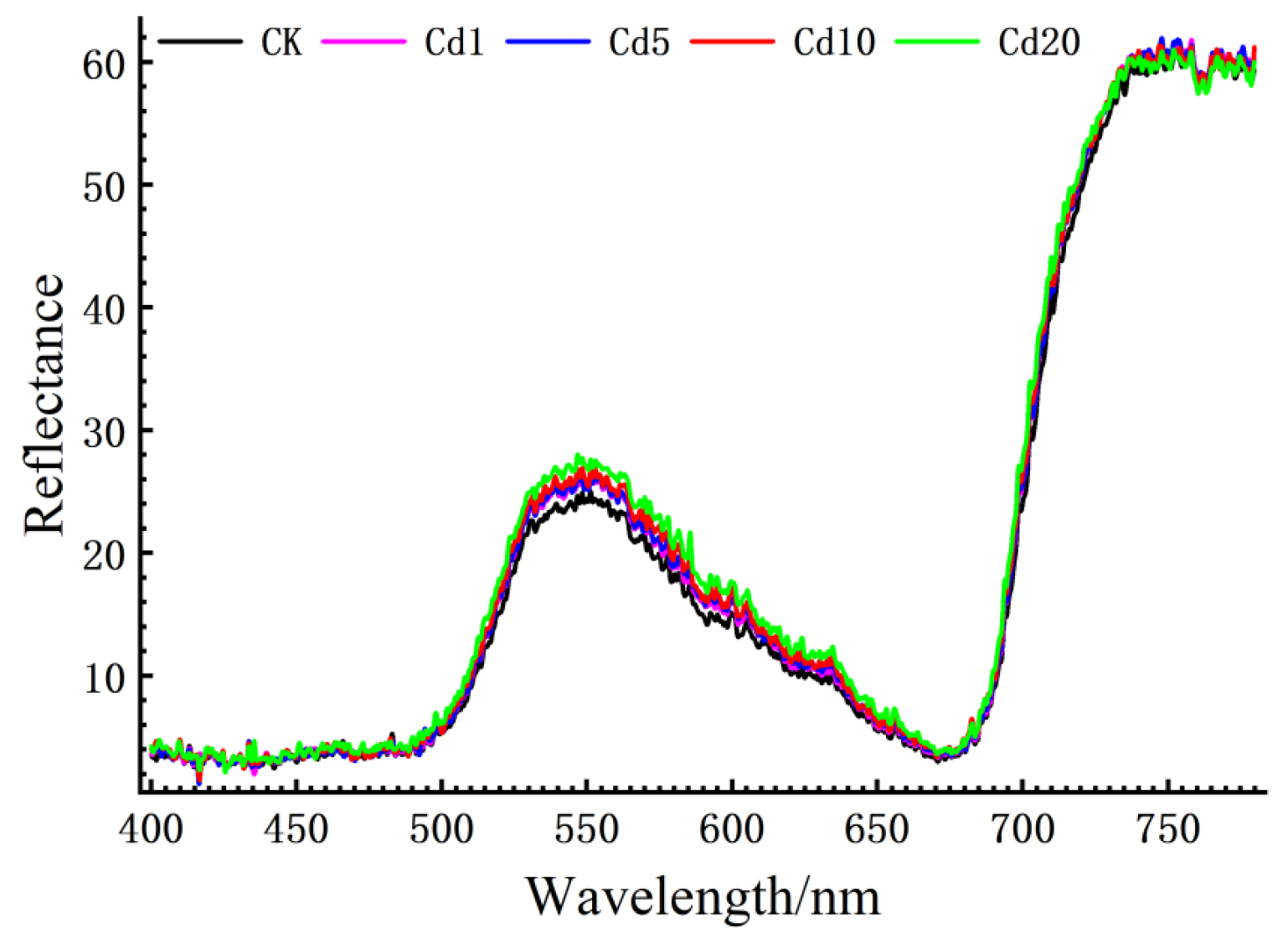 Agronomy 14 00427 g002