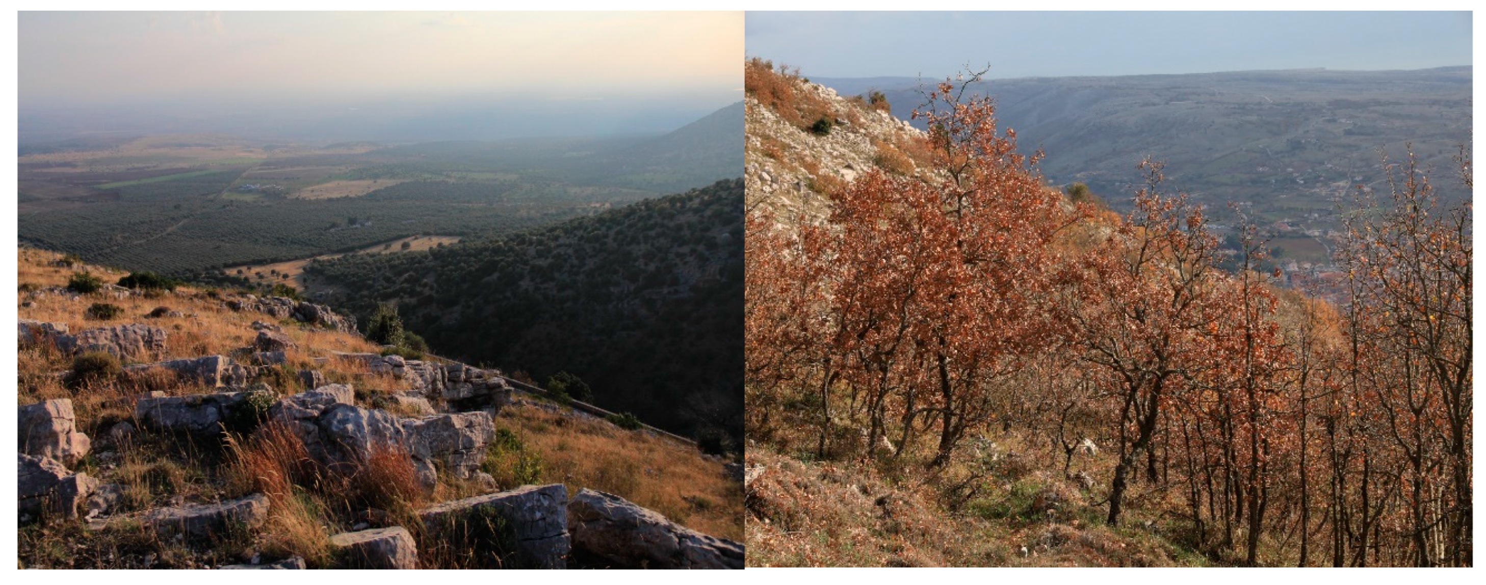 Agronomy 14 00431 g004