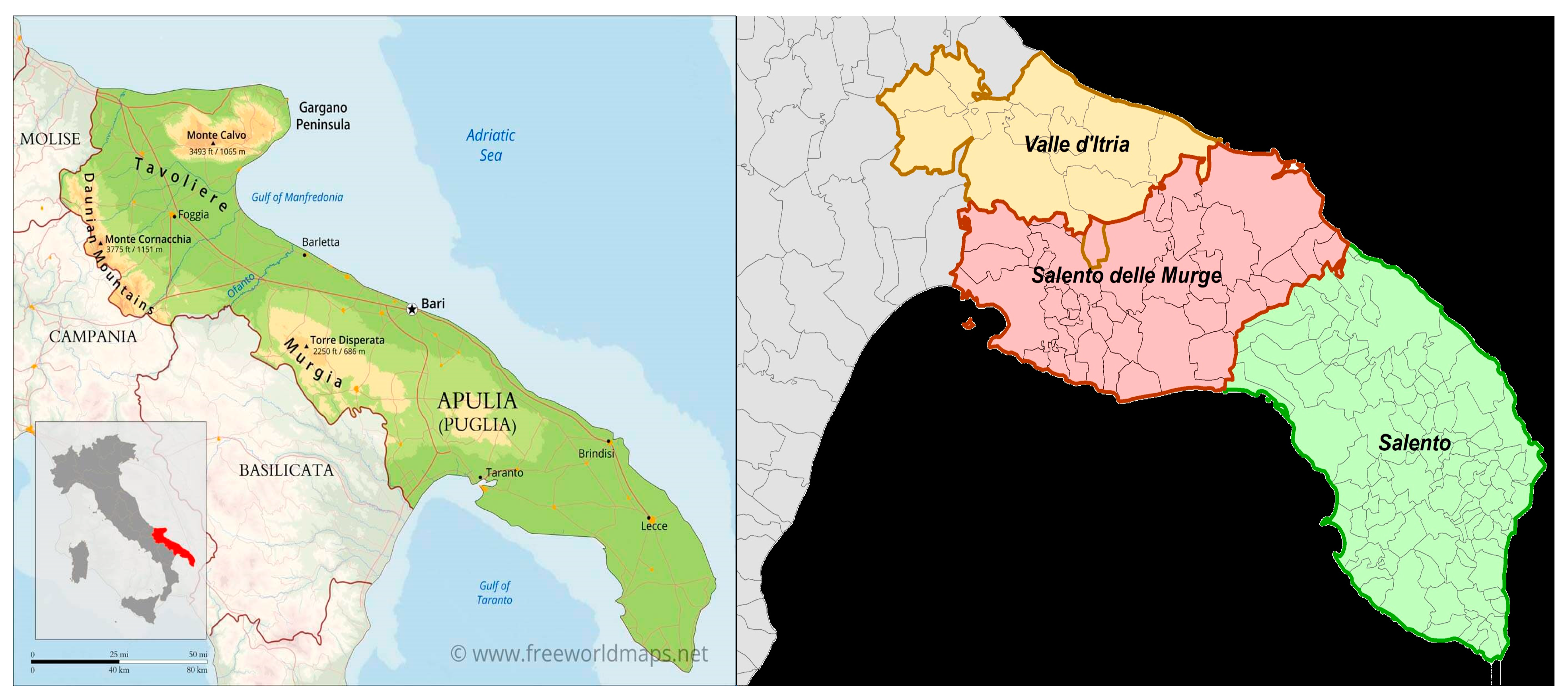 Agronomy 14 00431 g007