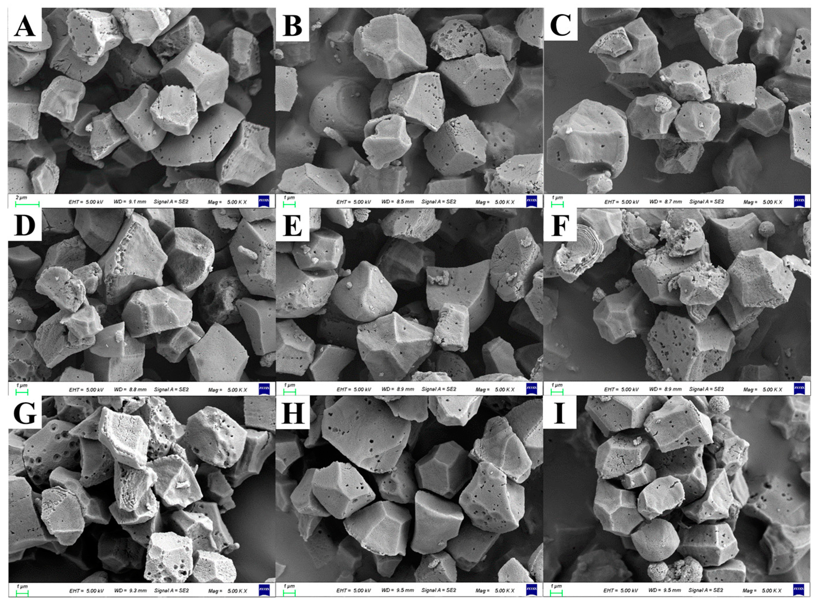 Agronomy 14 00444 g001