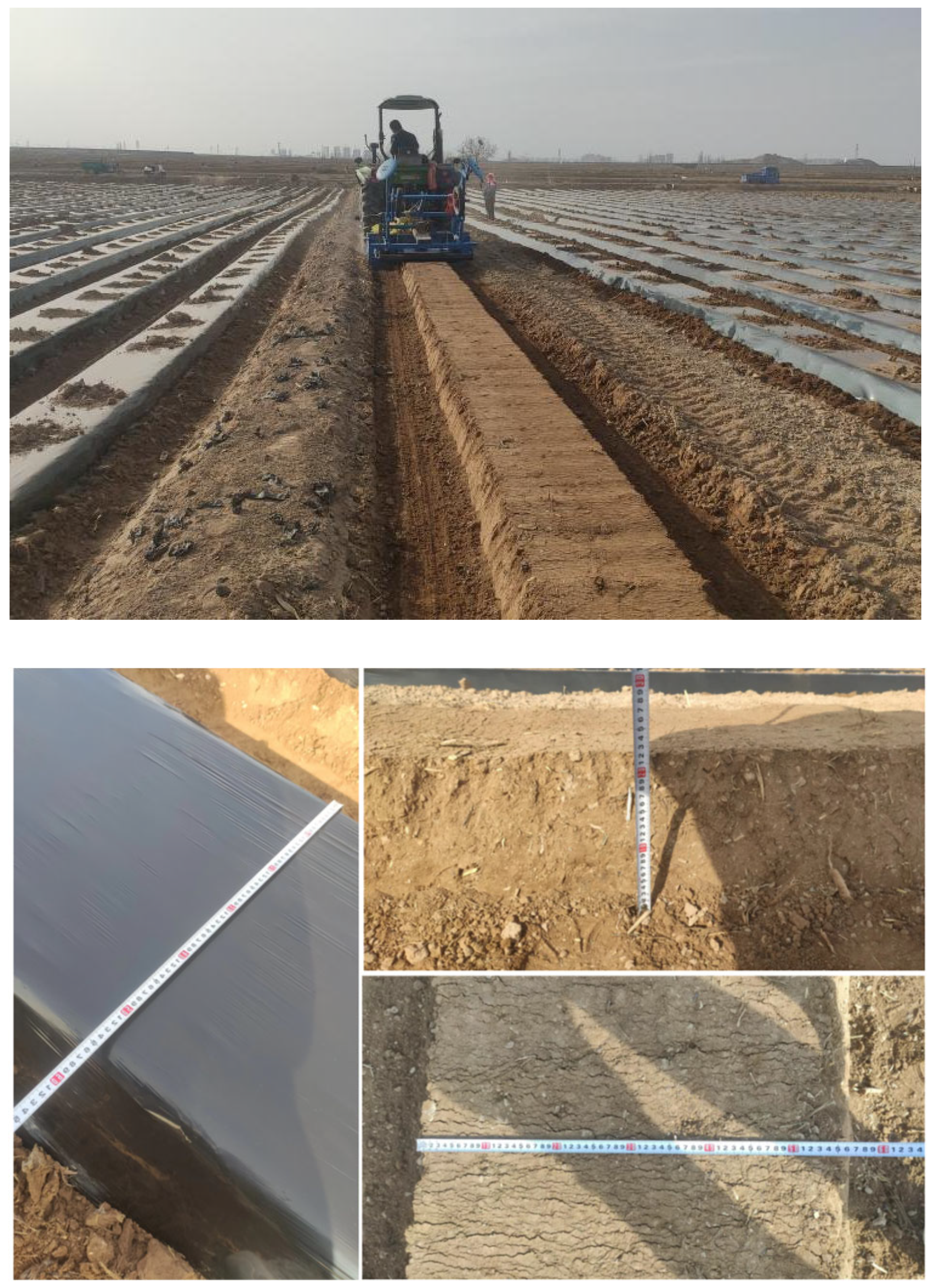 Agronomy 14 00446 g014