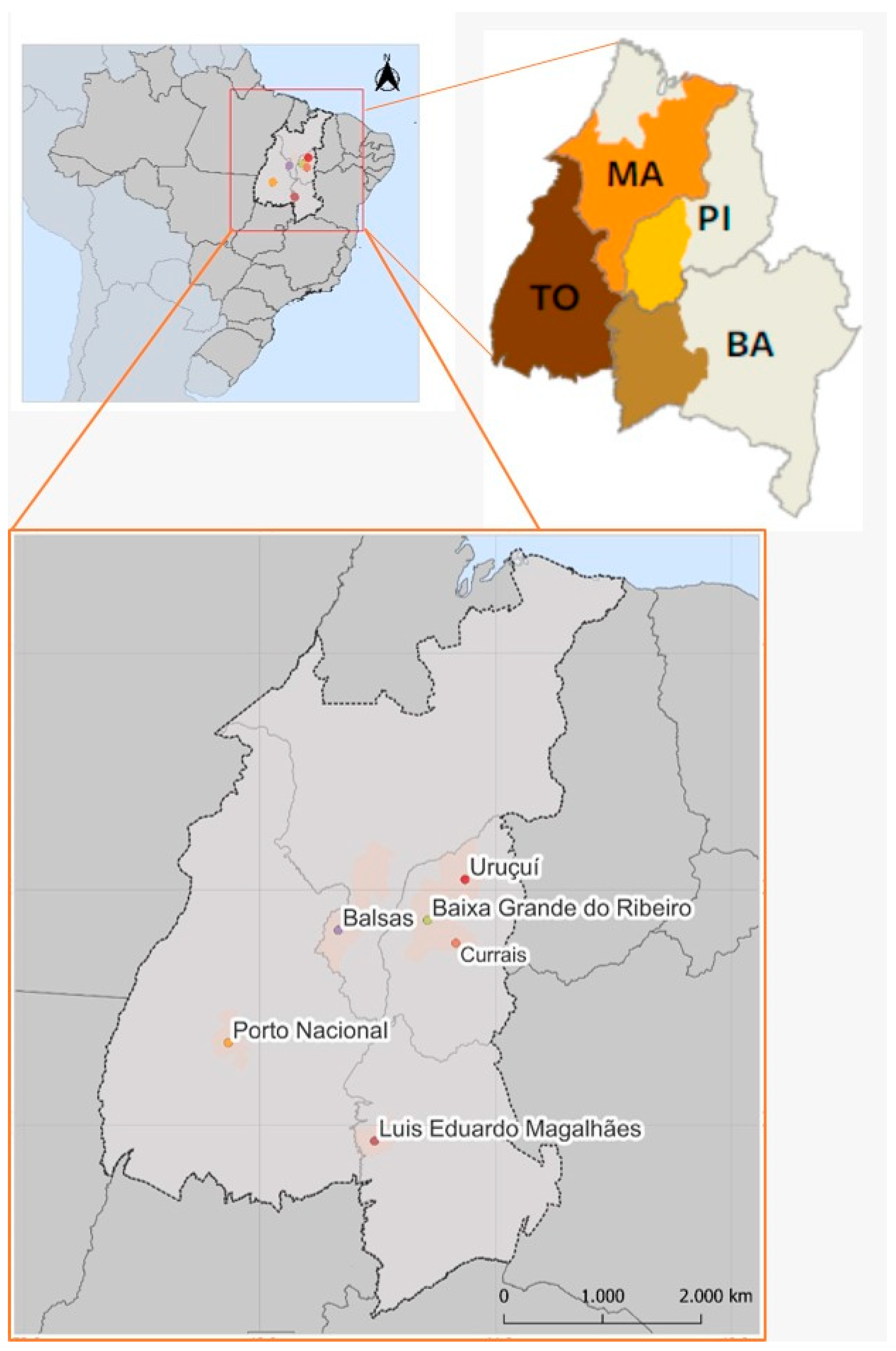 Agronomy 14 00451 g001