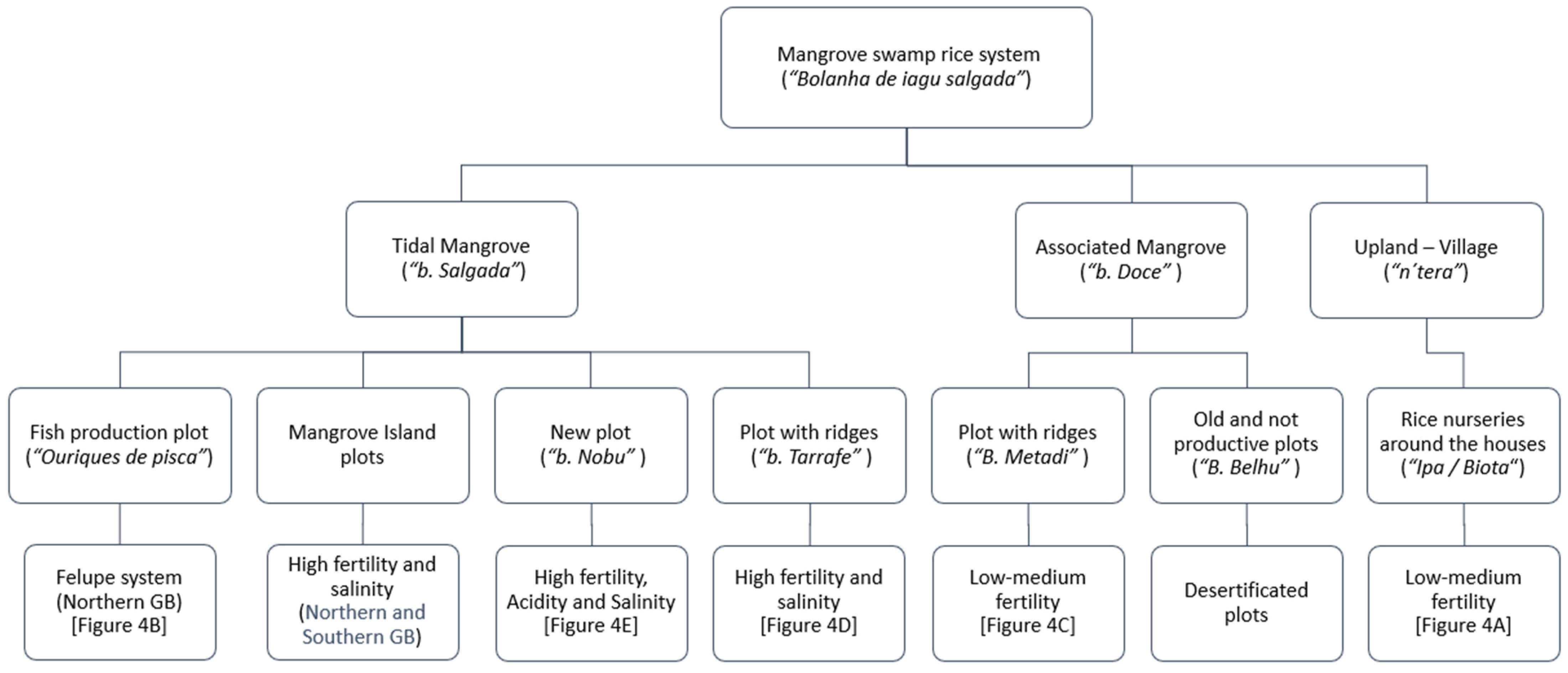 Agronomy 14 00468 g003 Agronomy 14 00468 g003