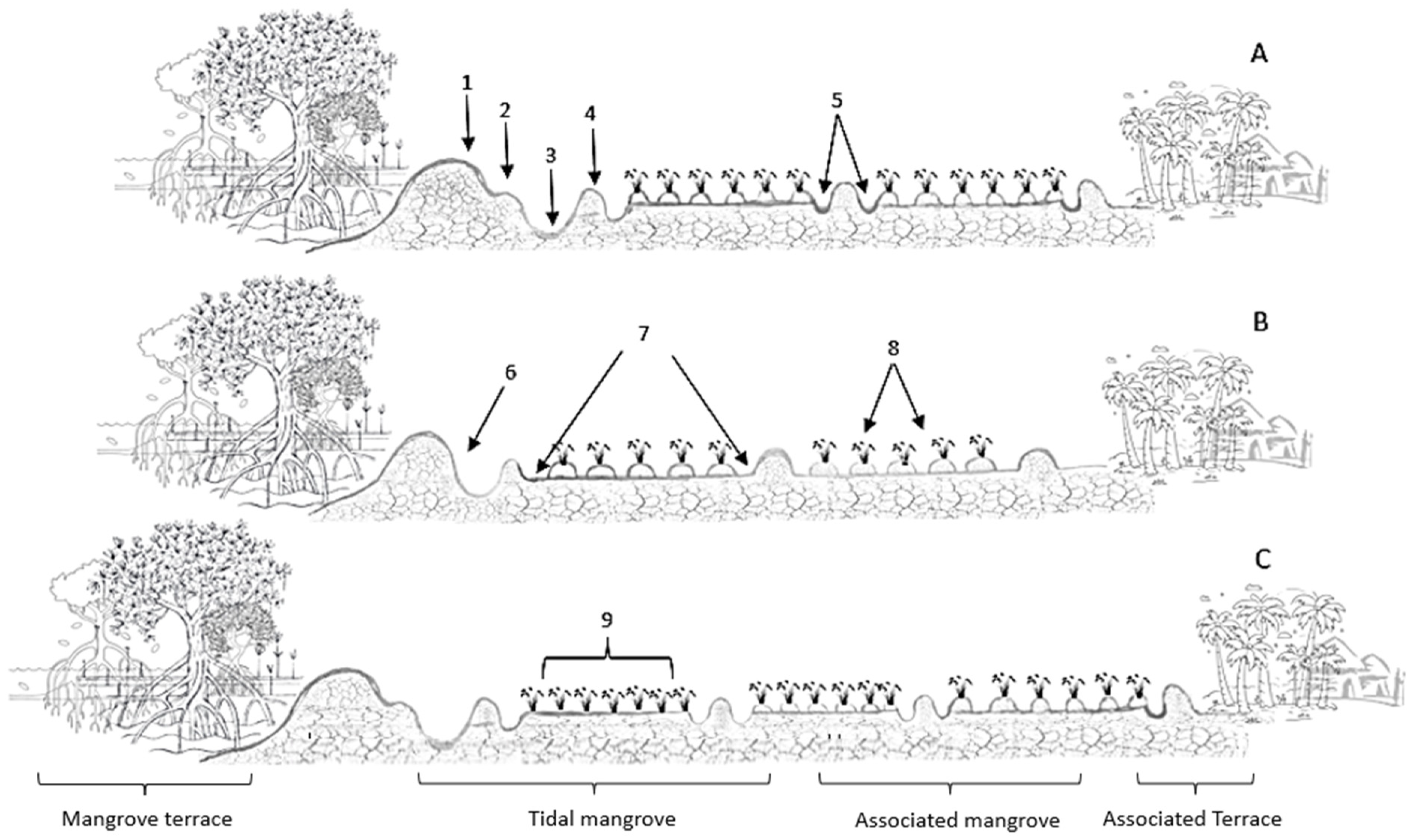 Agronomy 14 00468 g007 Agronomy 14 00468 g007