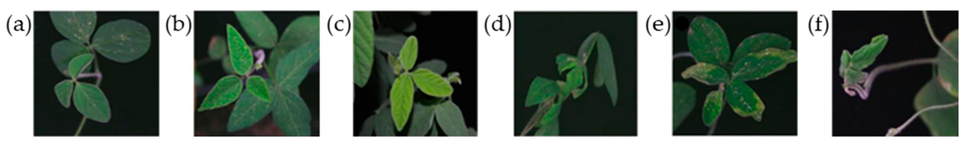 Agronomy 14 00489 g001