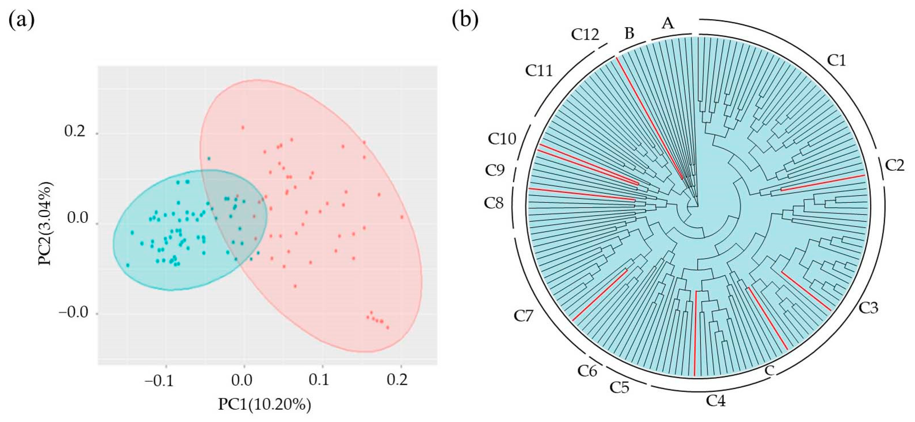 Agronomy 14 00489 g004