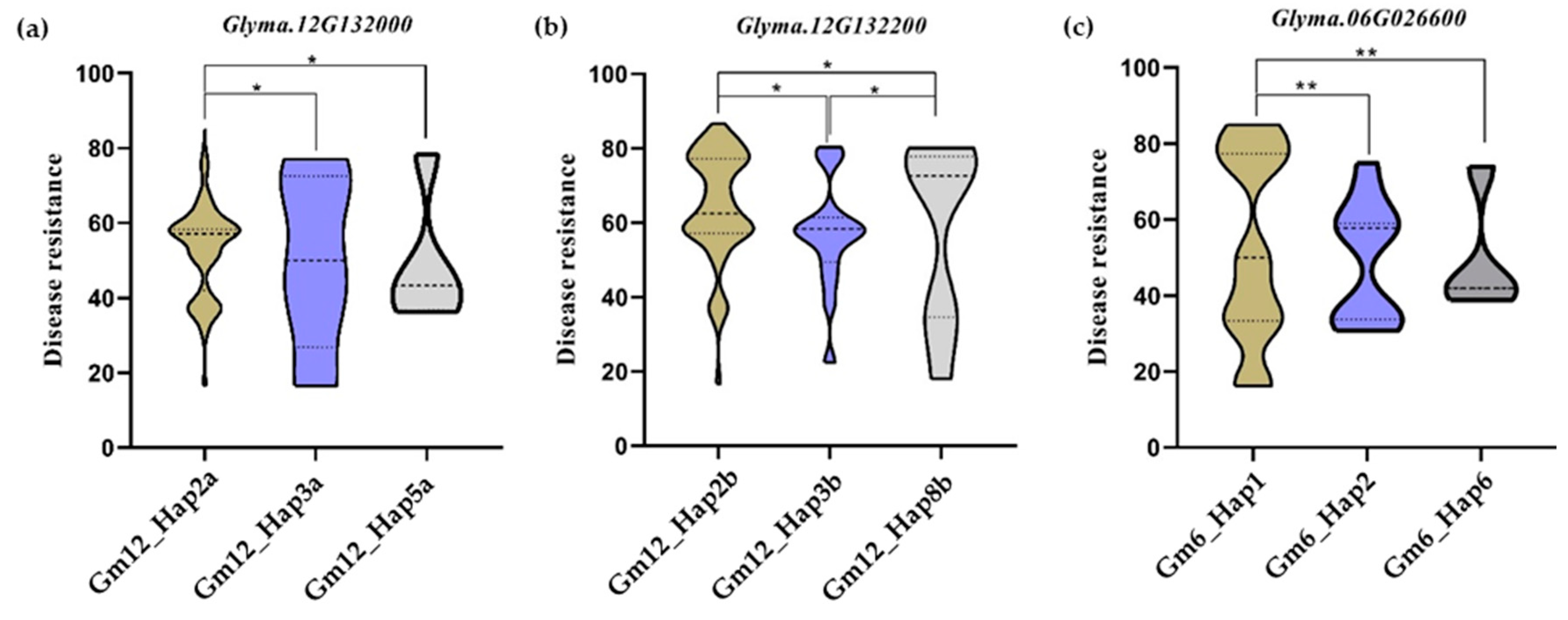 Agronomy 14 00489 g007