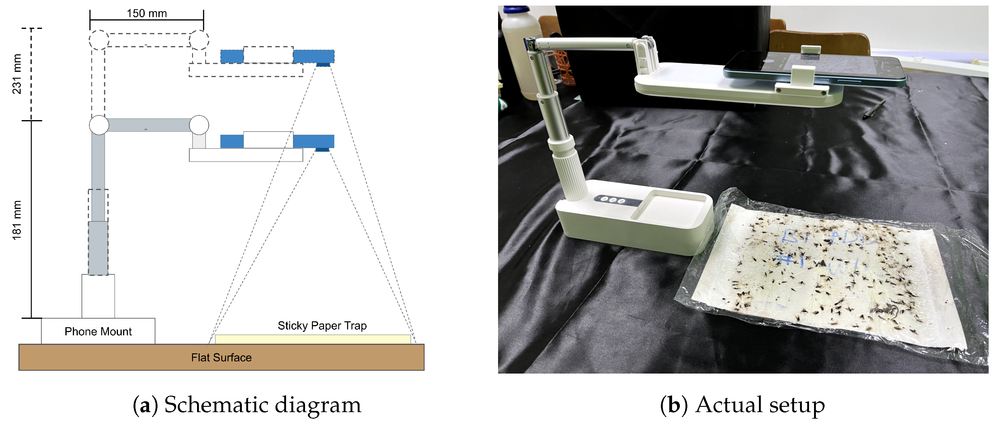 Agronomy 14 00502 g002a Agronomy 14 00502 g002a