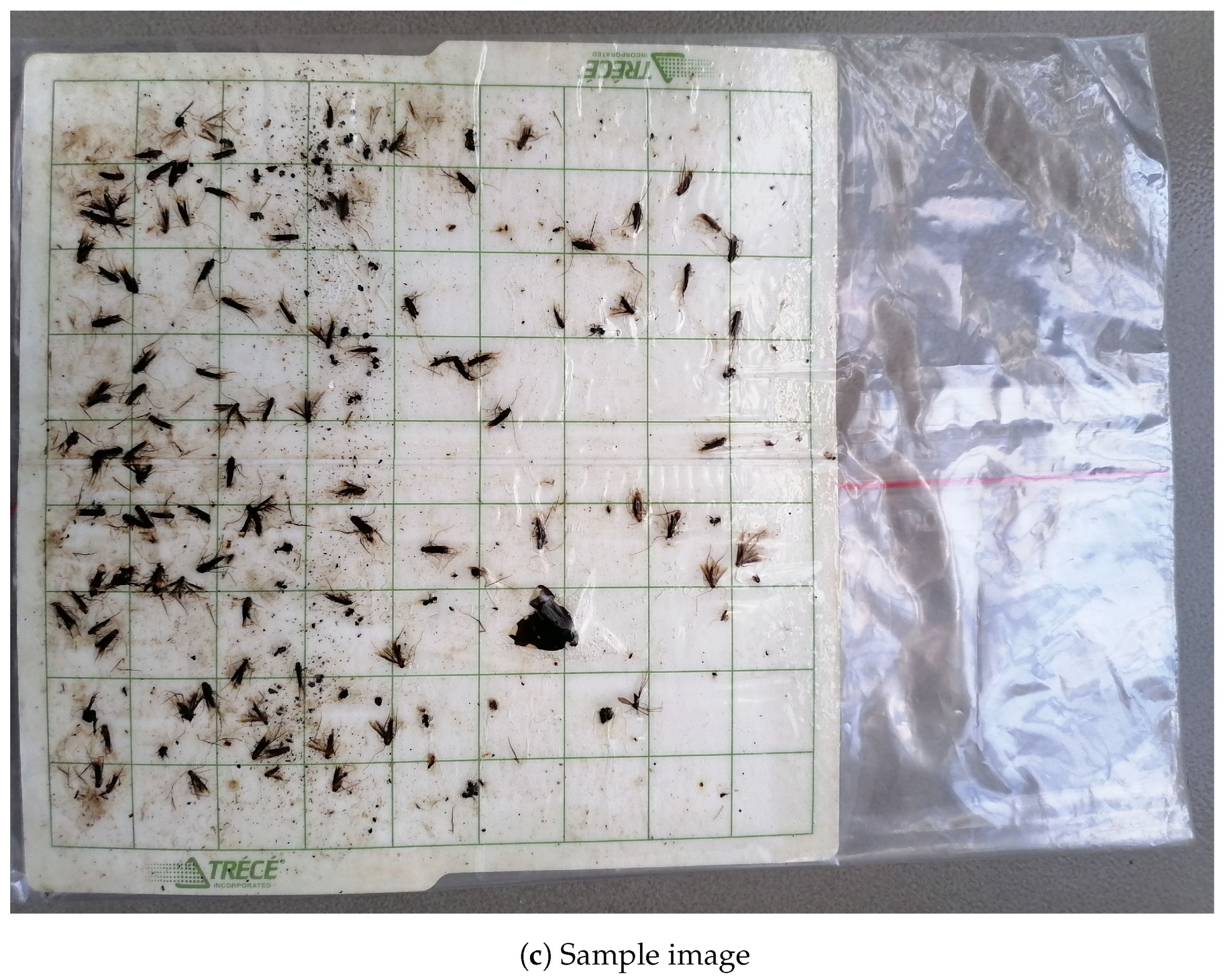 Agronomy 14 00502 g002b Agronomy 14 00502 g002b