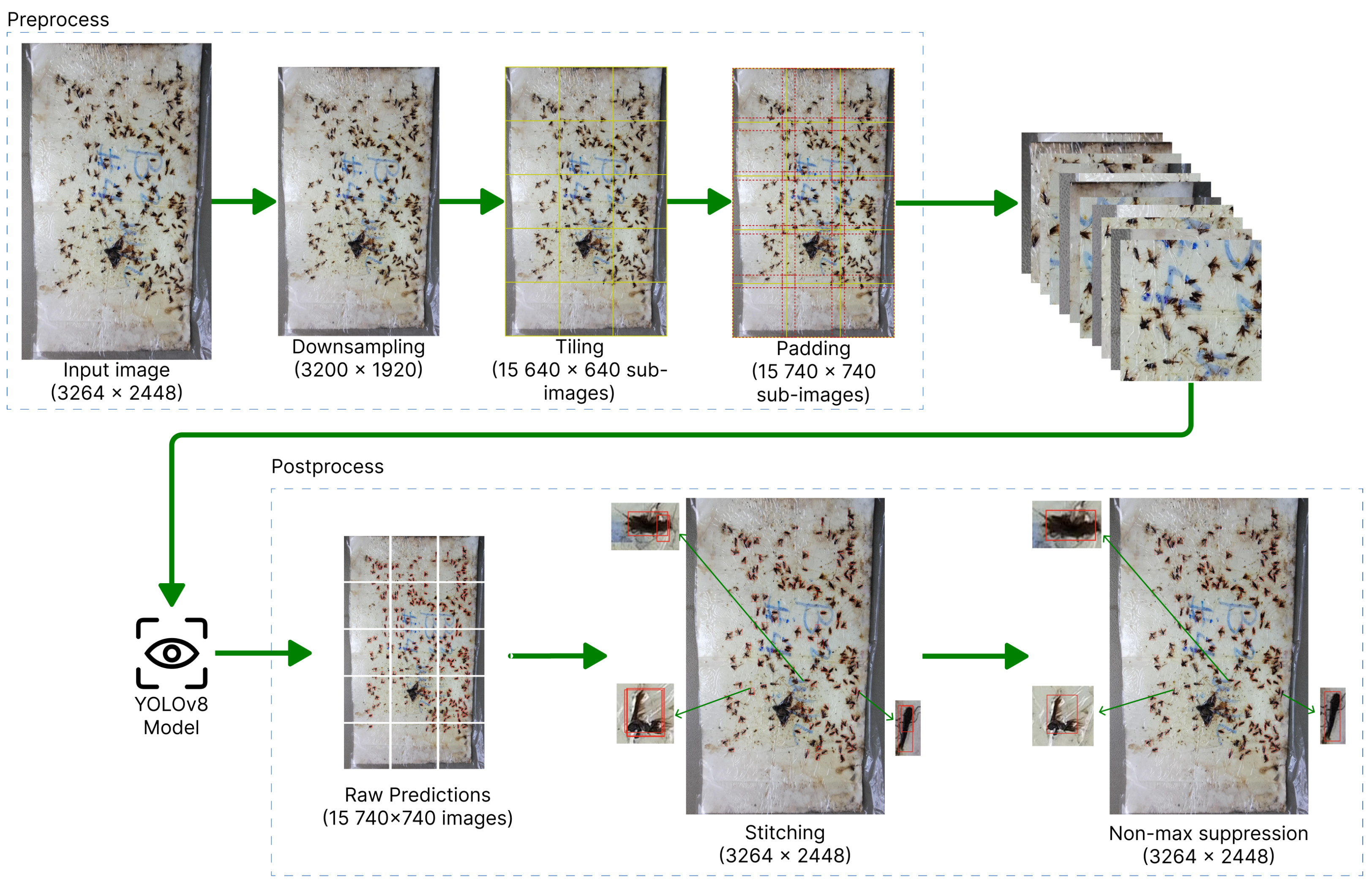 Agronomy 14 00502 g003 Agronomy 14 00502 g003