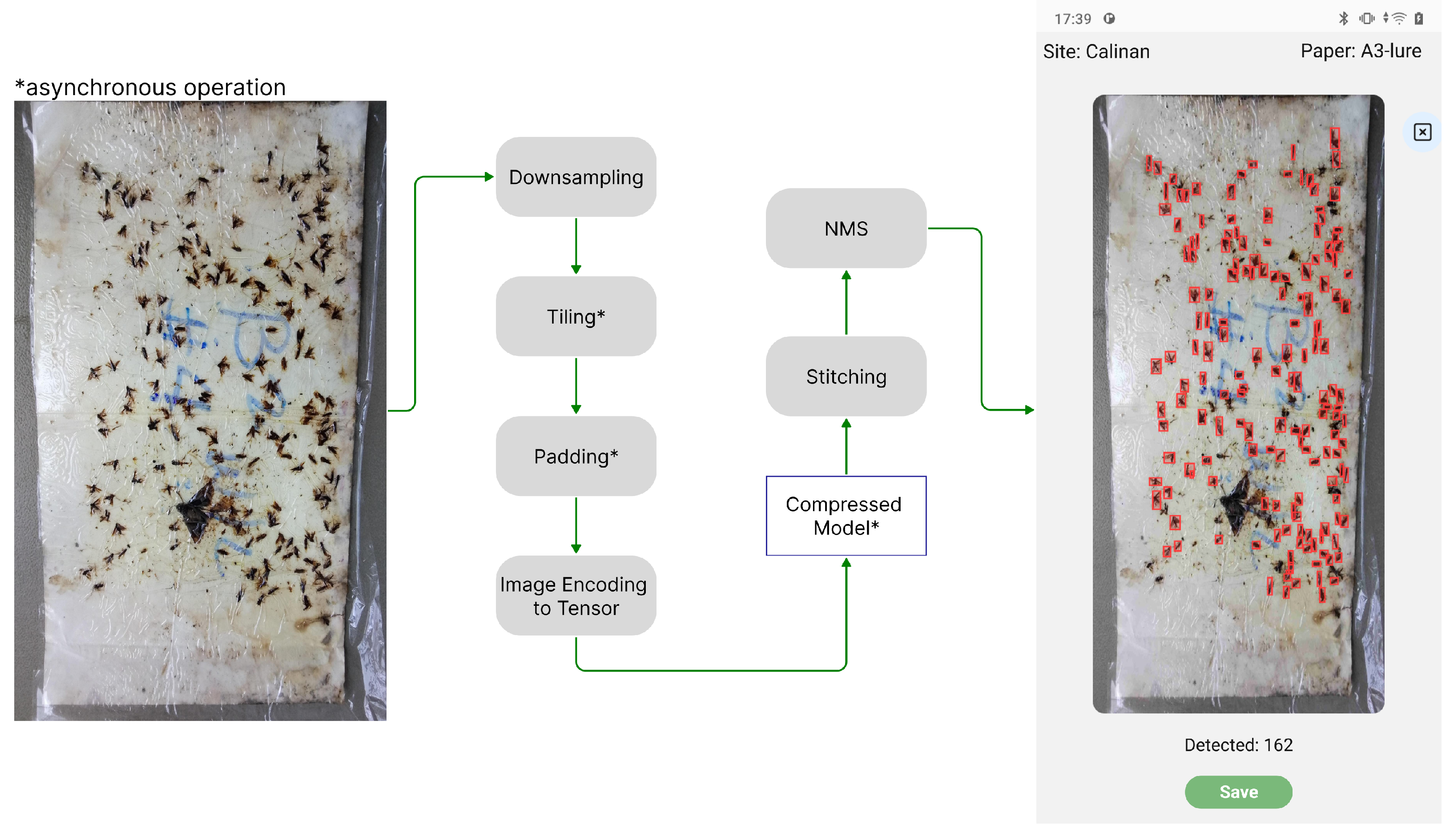 Agronomy 14 00502 g005 Agronomy 14 00502 g005
