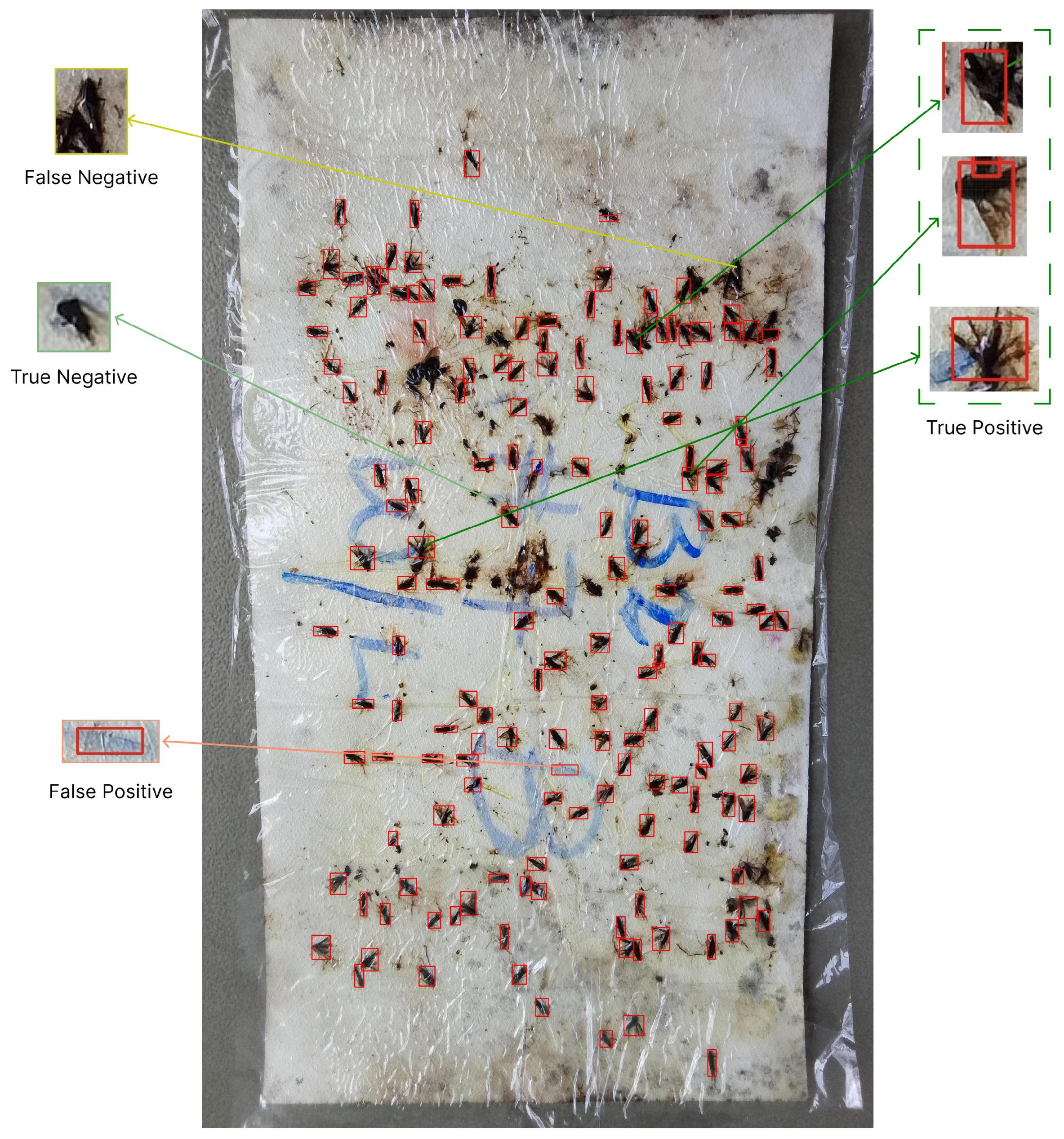 Agronomy 14 00502 g007 Agronomy 14 00502 g007