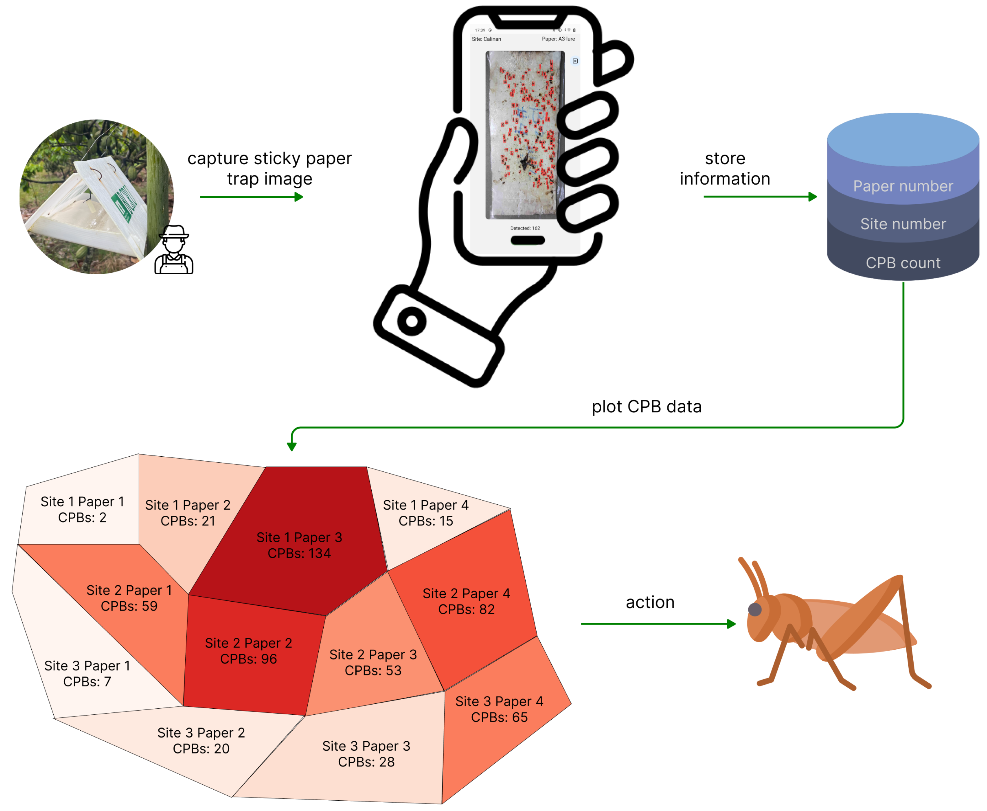 Agronomy 14 00502 g009 Agronomy 14 00502 g009