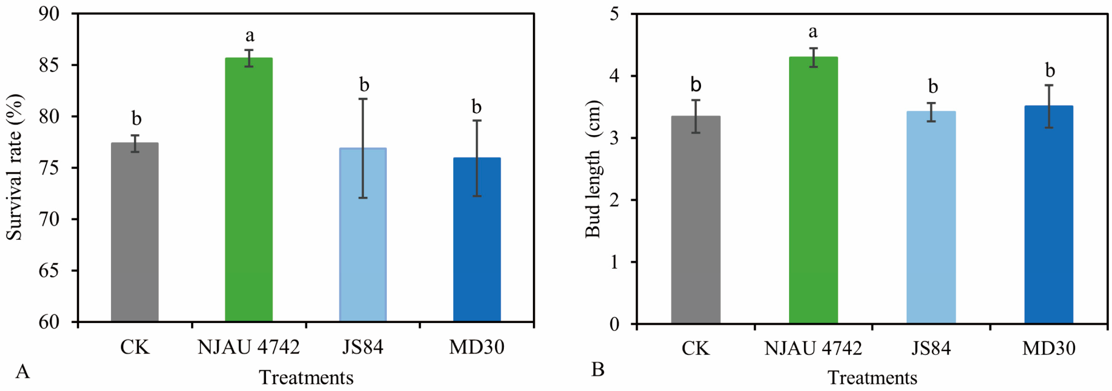 Agronomy 14 00526 g001