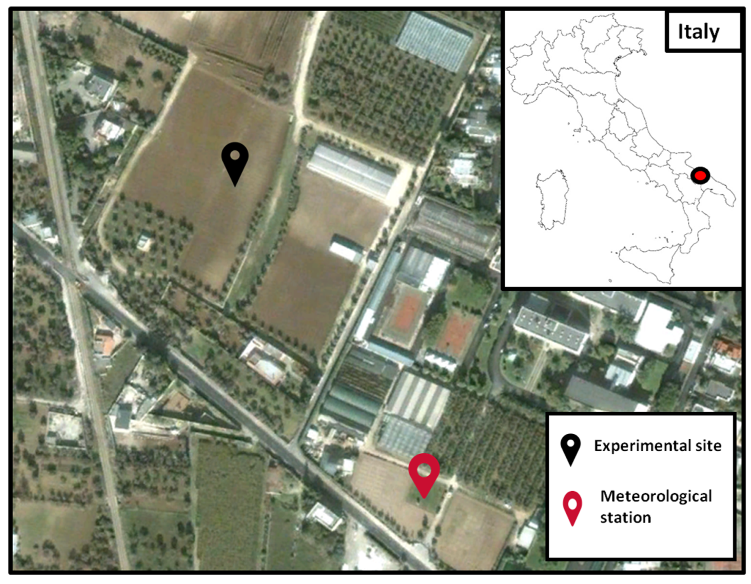 Agronomy 14 00532 g001