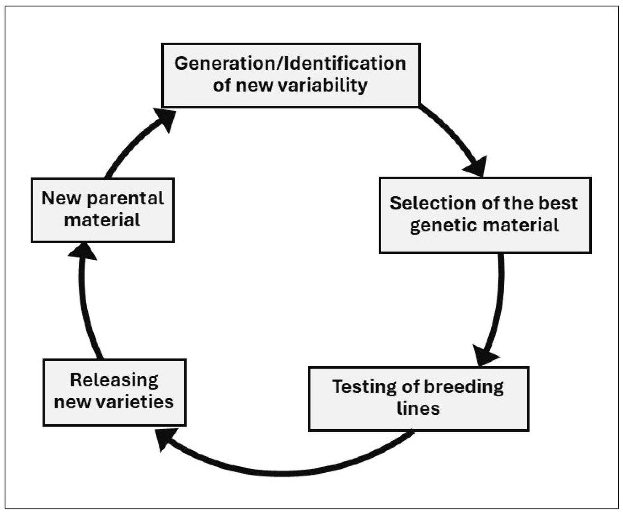Agronomy 14 00550 g001