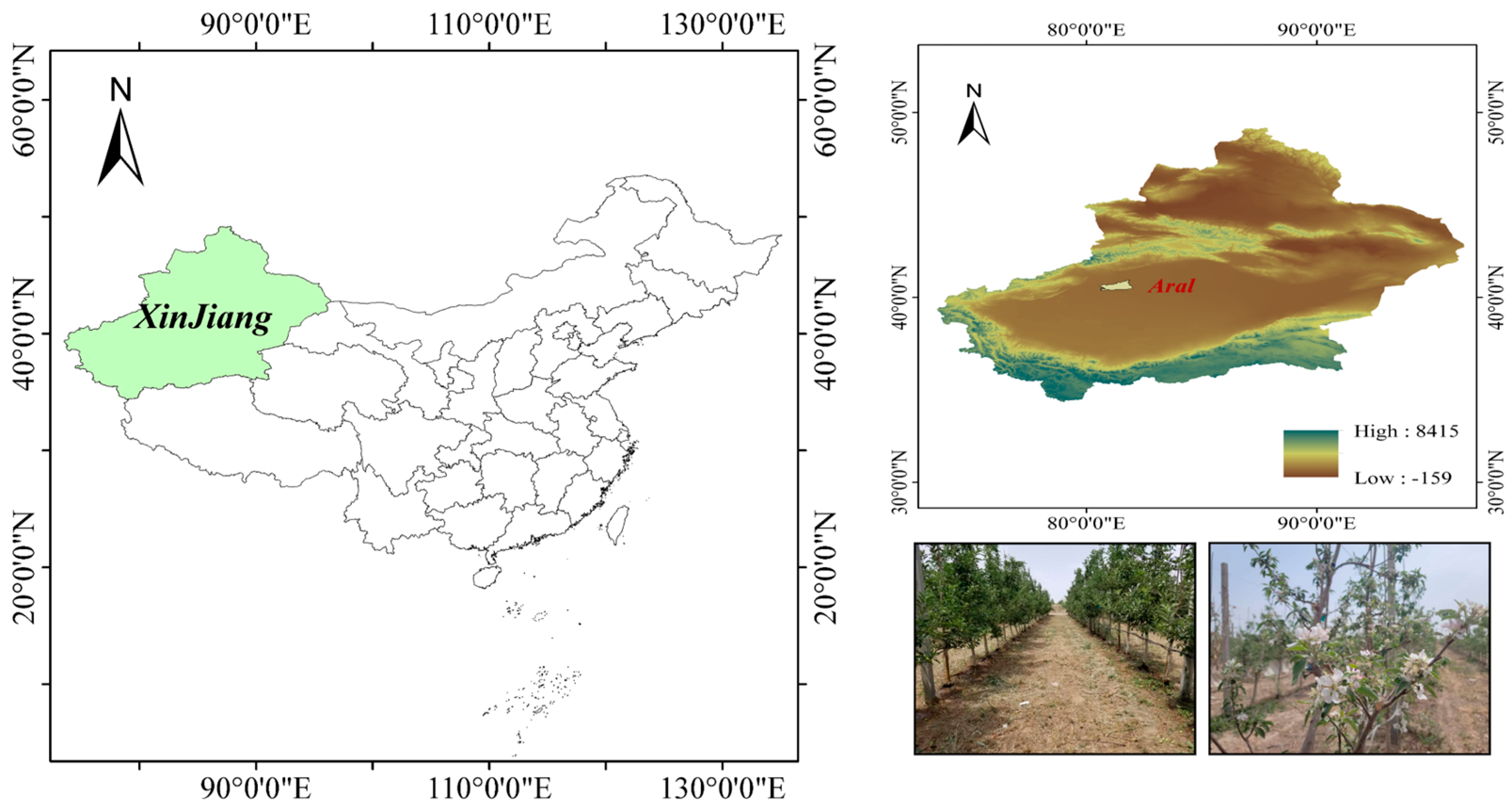 Agronomy 14 00552 g001