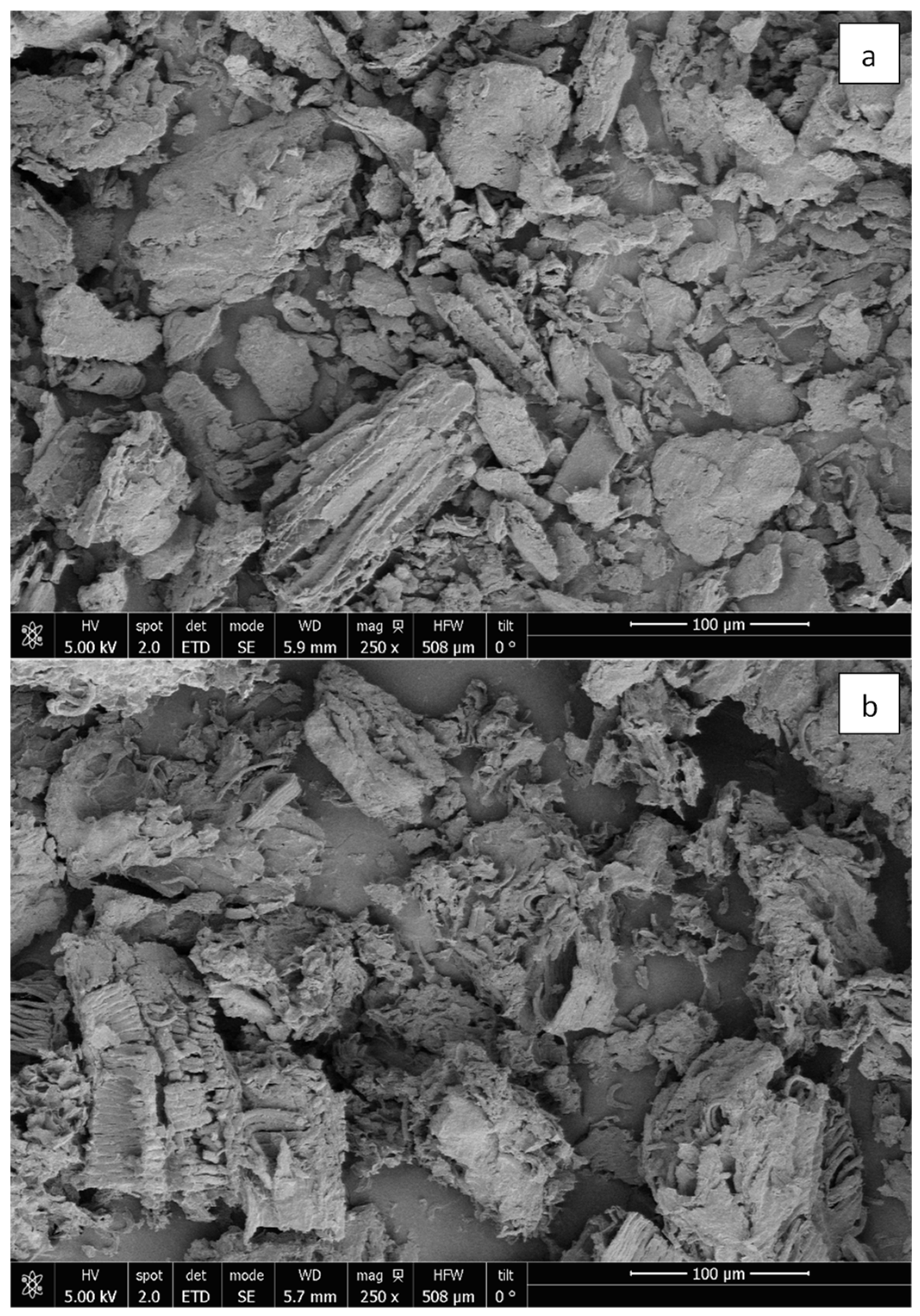 Agronomy 14 00554 g003