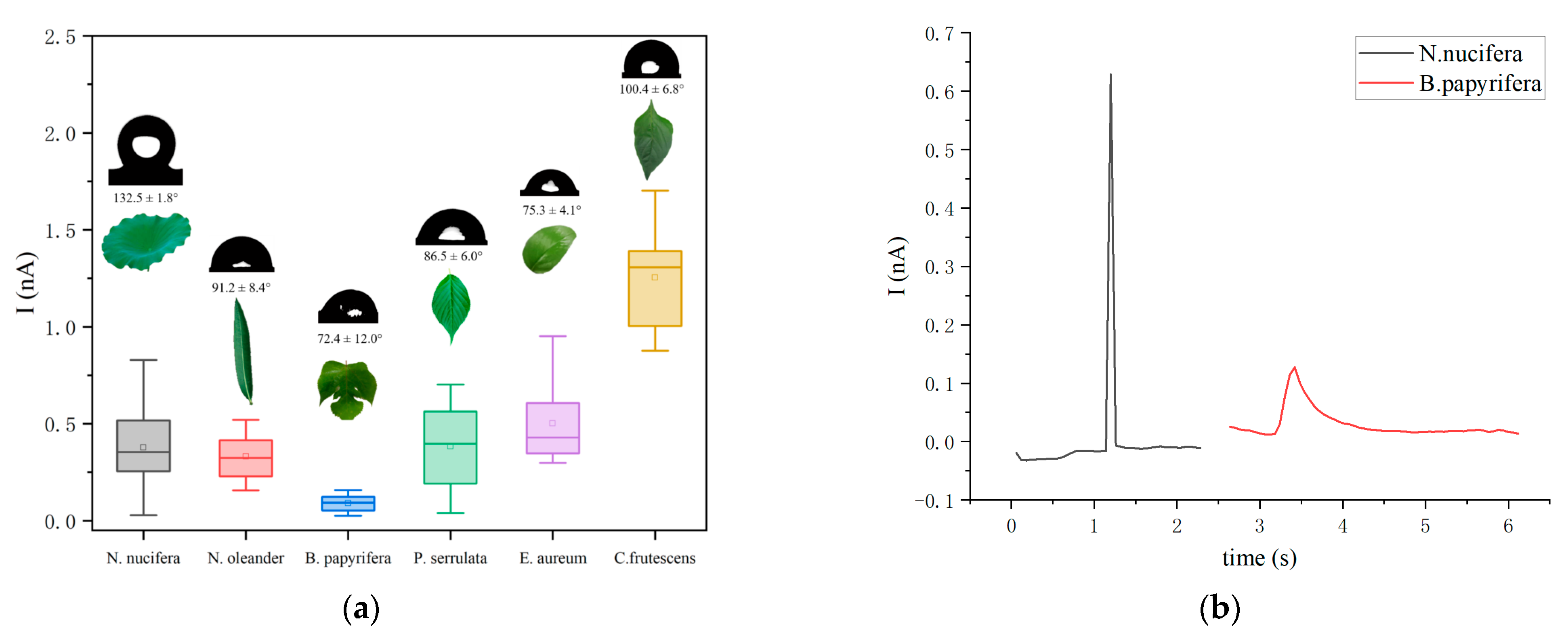 Agronomy 14 00573 g007