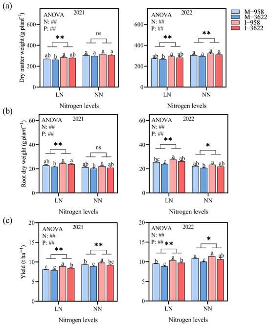 Agronomy | Free Full-Text | Interplanting of Corn (Zea mays L 