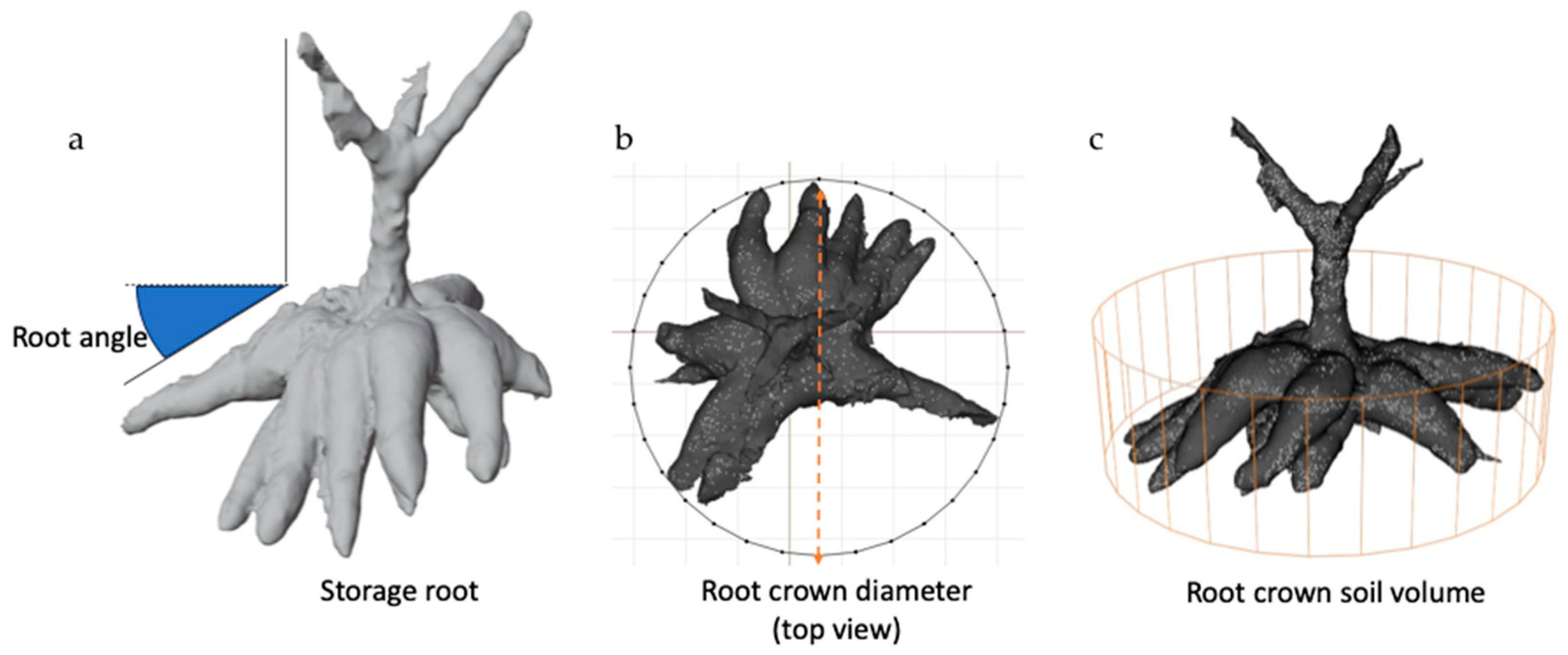 Agronomy 14 00591 g001