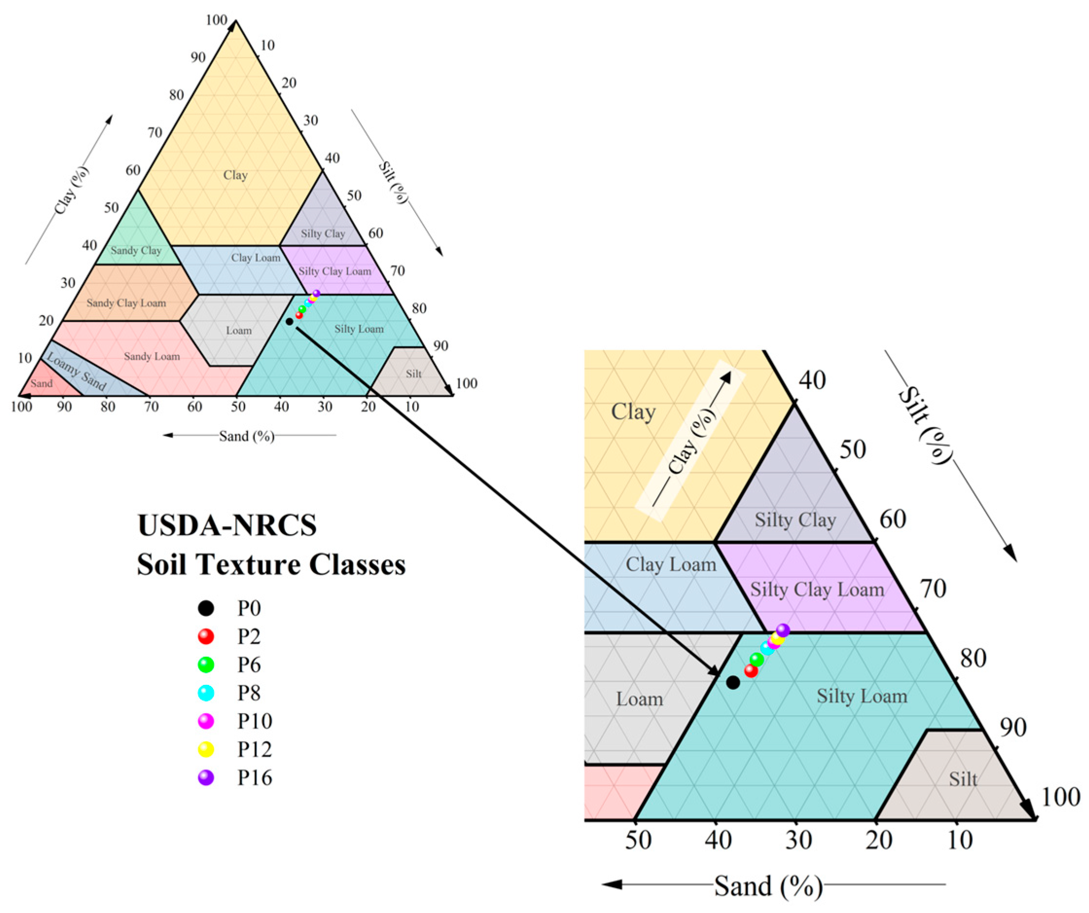 Agronomy 14 00599 g002