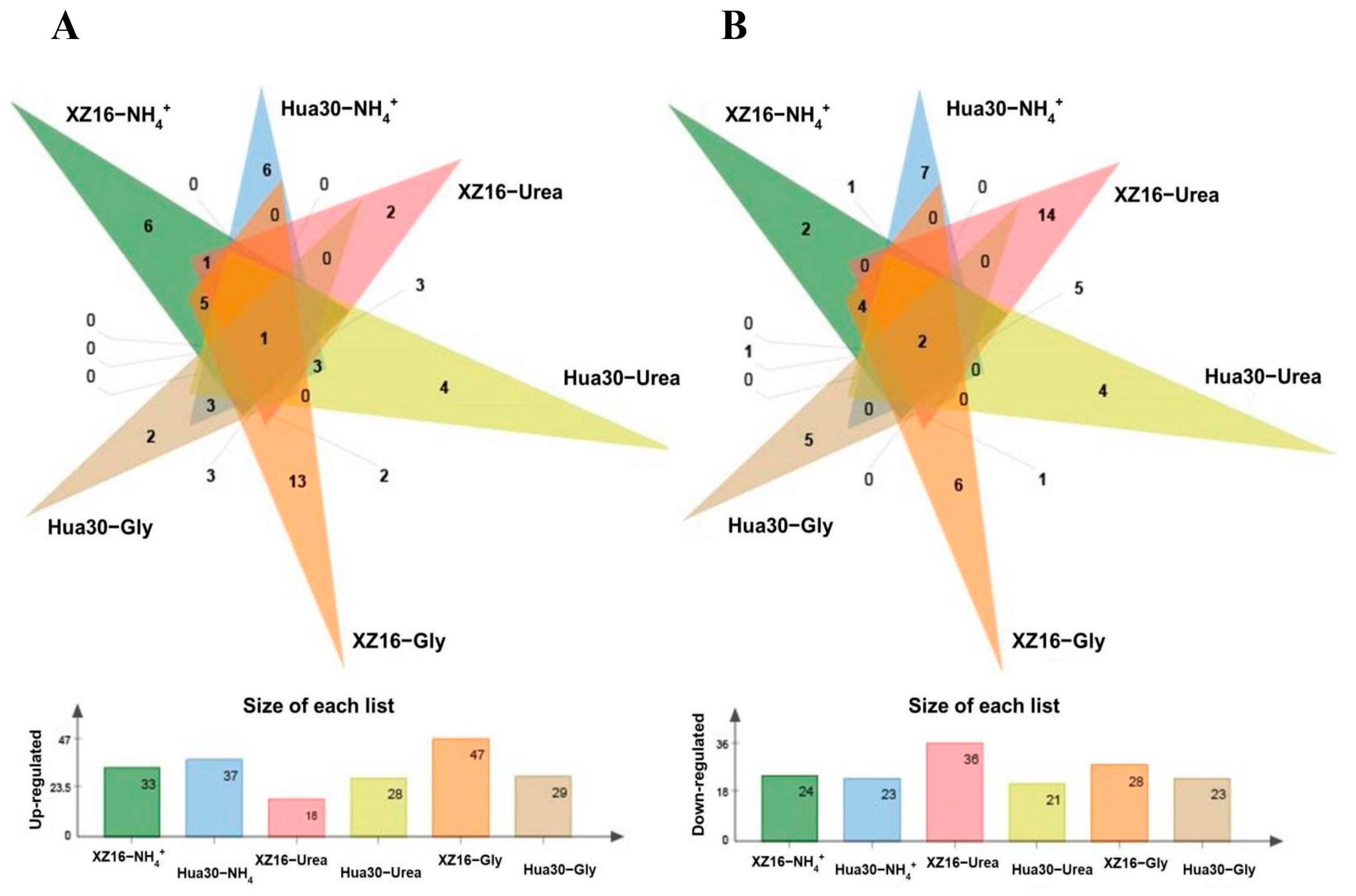 Agronomy 14 00621 g001
