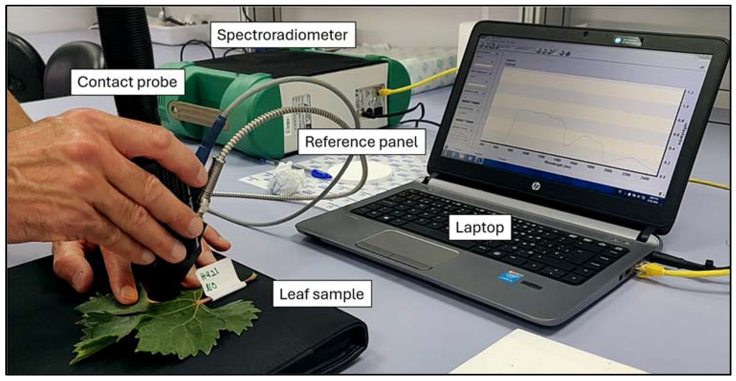 Agronomy 14 00634 g003
