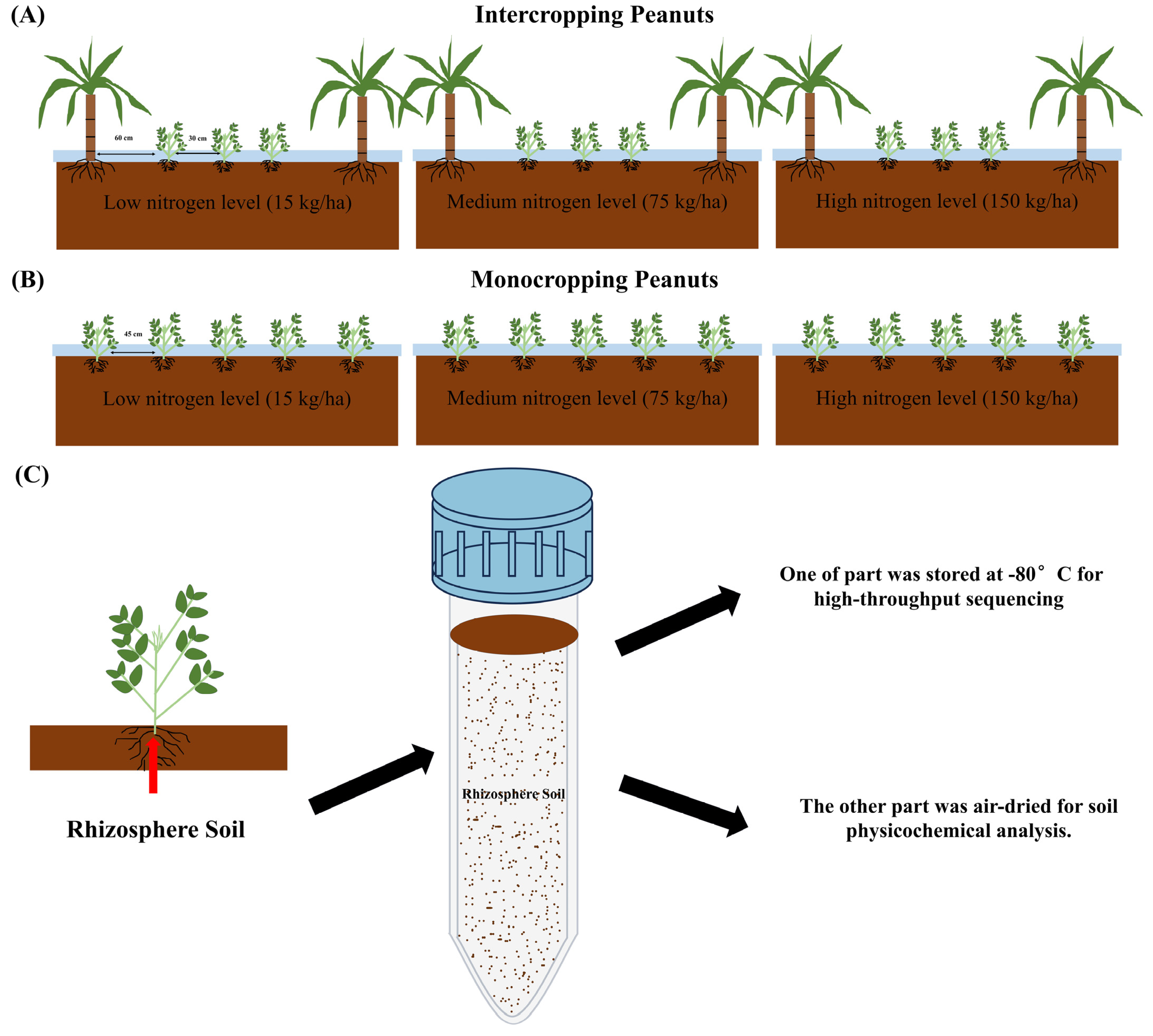 Agronomy 14 00635 g001